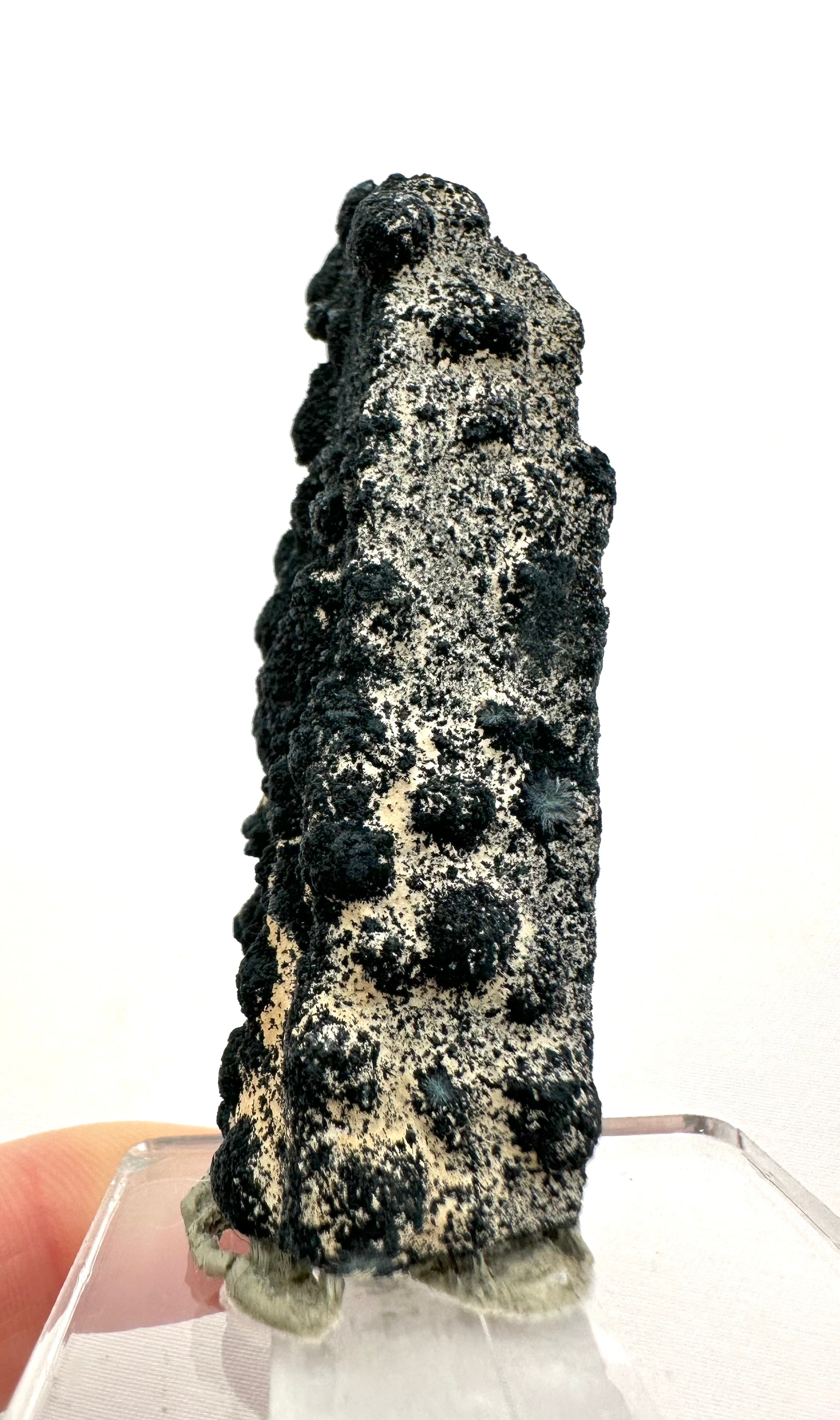 Schorl – Feldspar – Erongo Namibia - SK025
