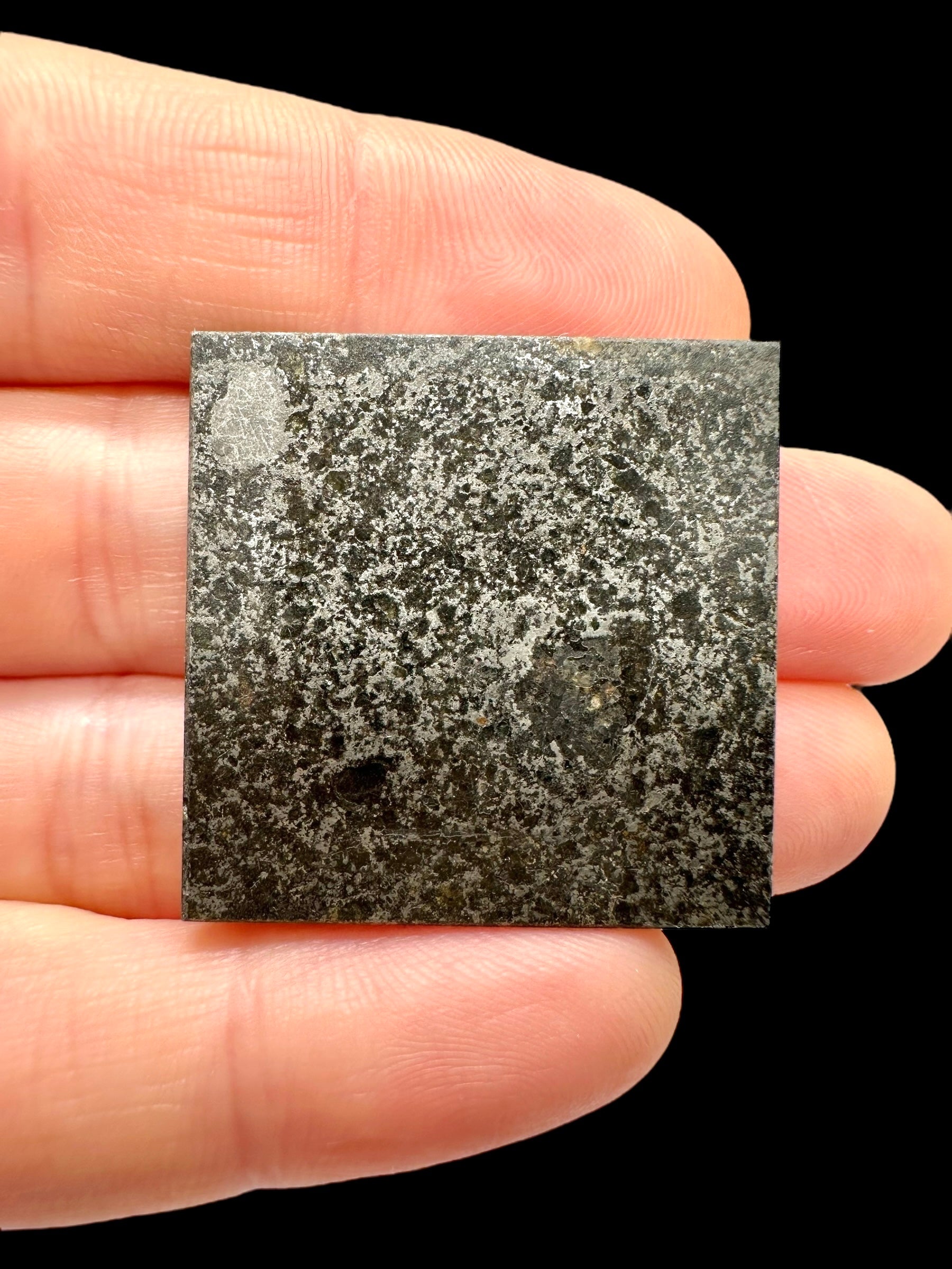 Meteorite Tanezrouft 091 – 8,8g – Algeria - METN03
