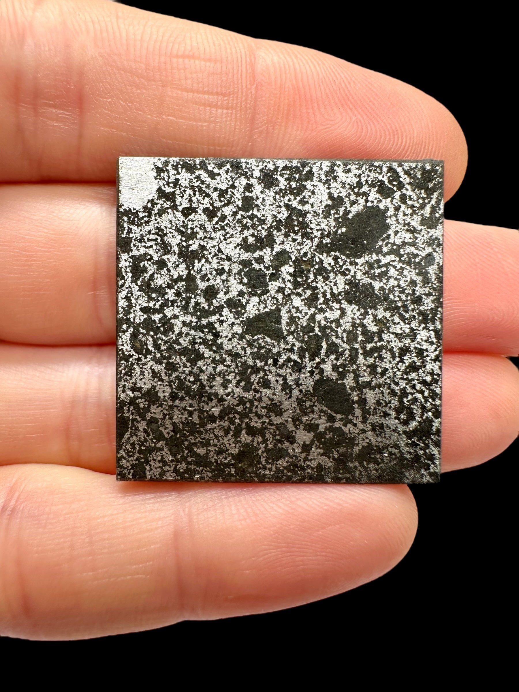 Meteorite Tanezrouft 091 – 8,8g – Algeria