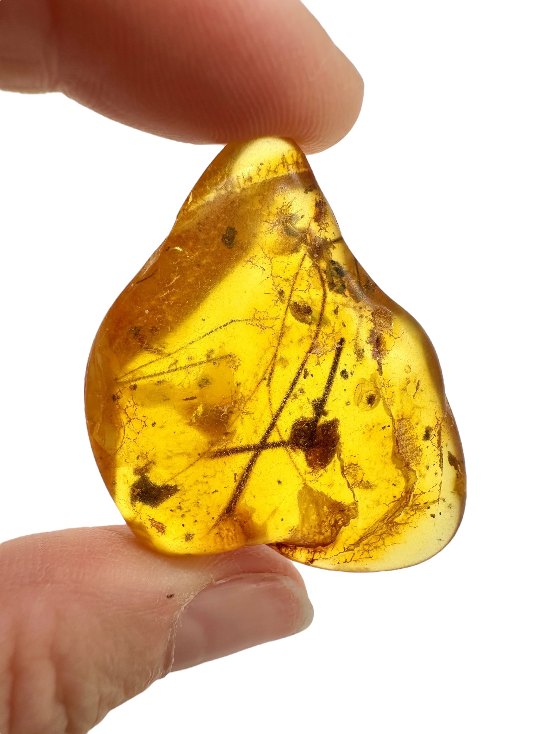 Insects in amber – Lithuania – 7,1g - IJ173