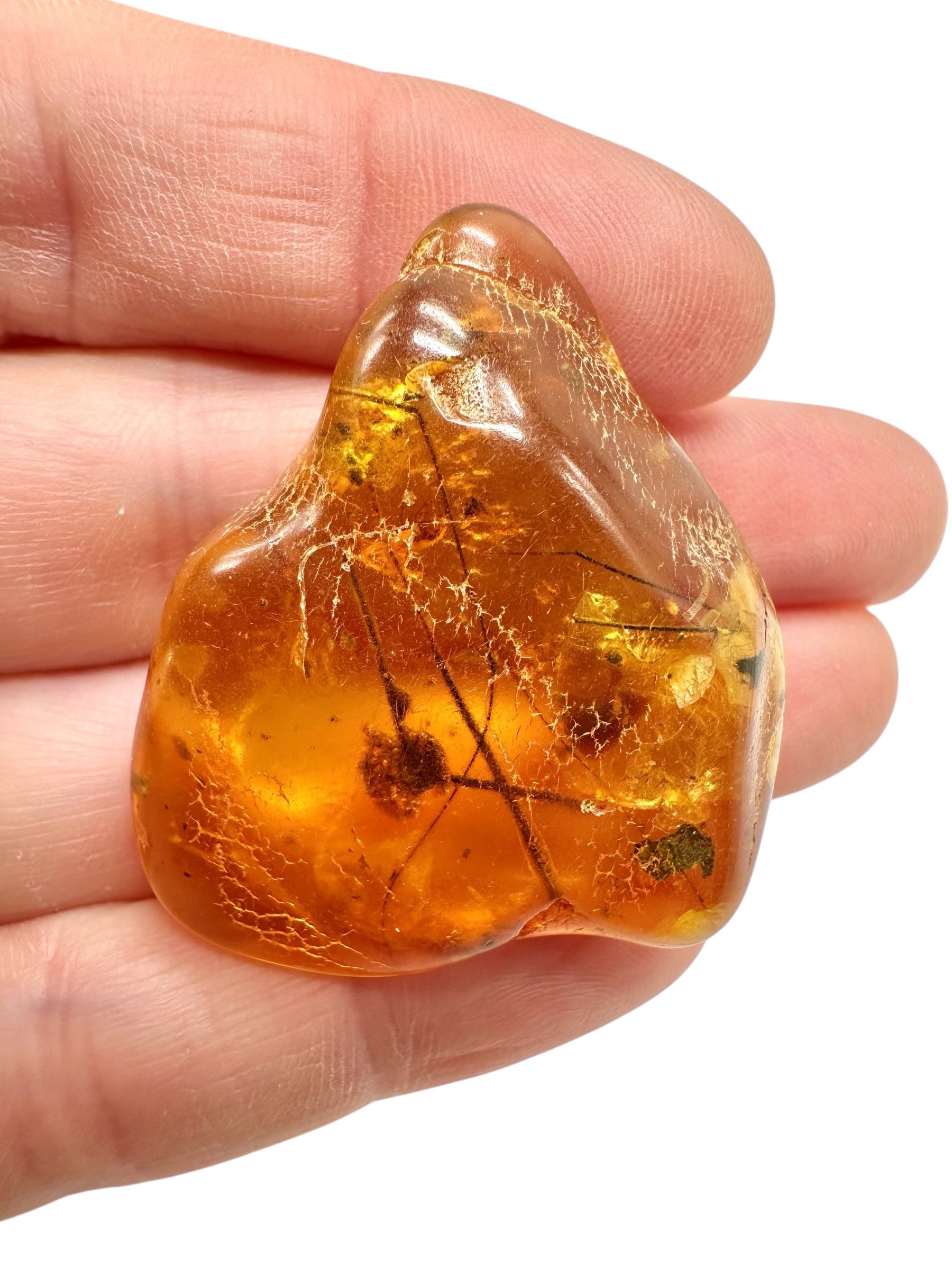Insects in amber – Lithuania – 7,1g - IJ173