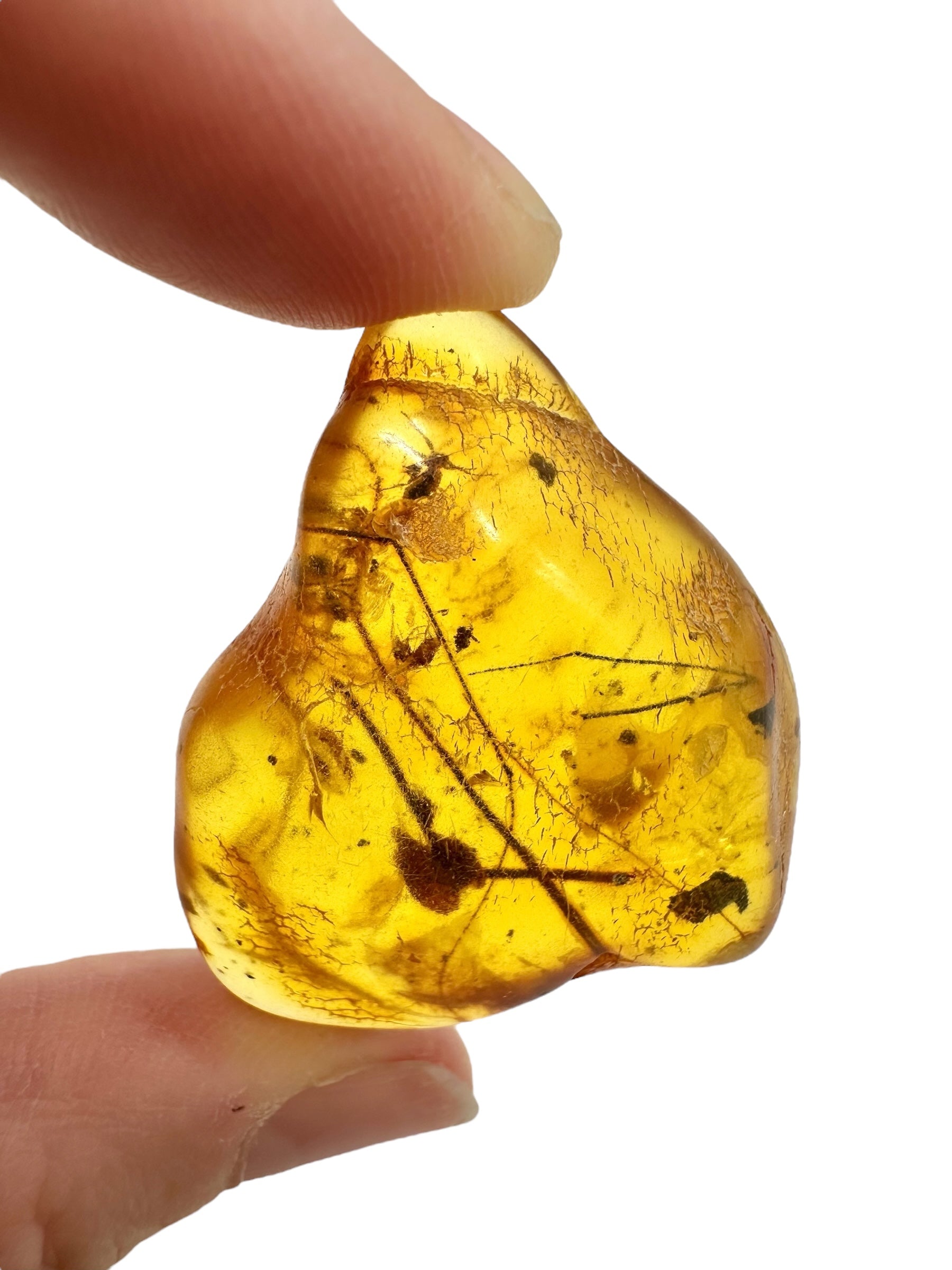 Insects in amber – Lithuania – 7,1g - IJ173