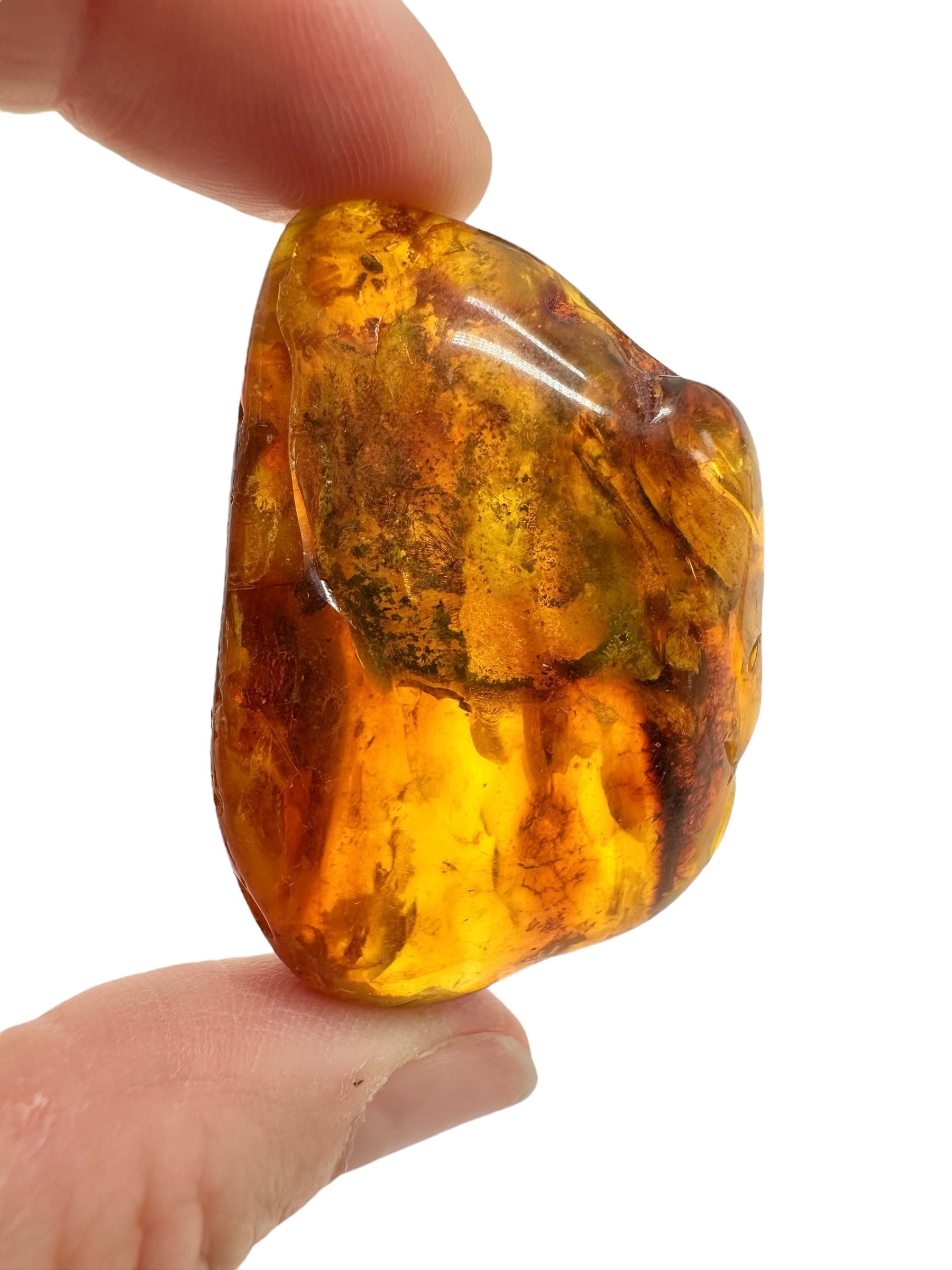 Insects in amber – Lithuania – 11,5g - IJ174