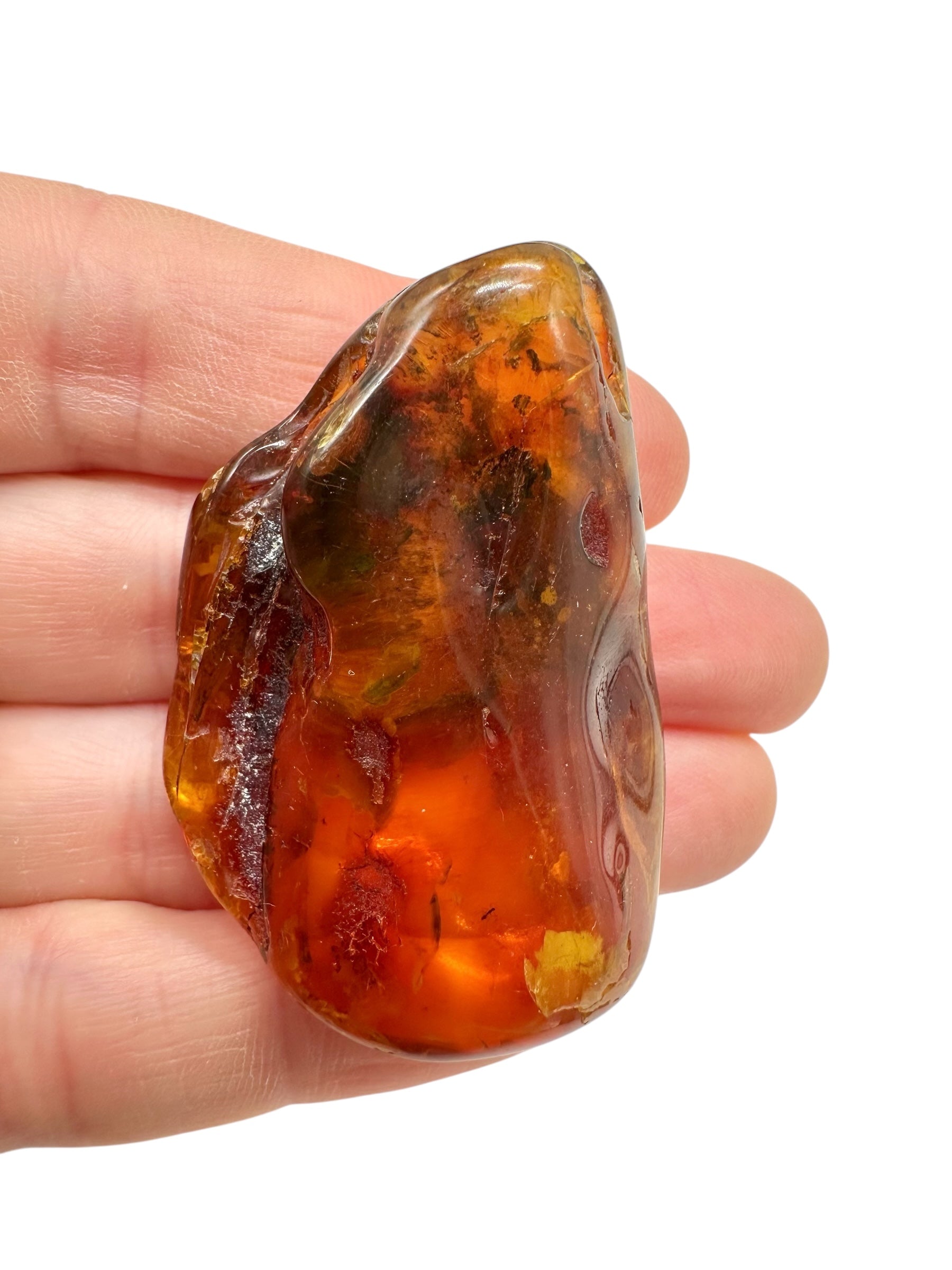 Insects in amber – Lithuania – 11,5g - IJ174
