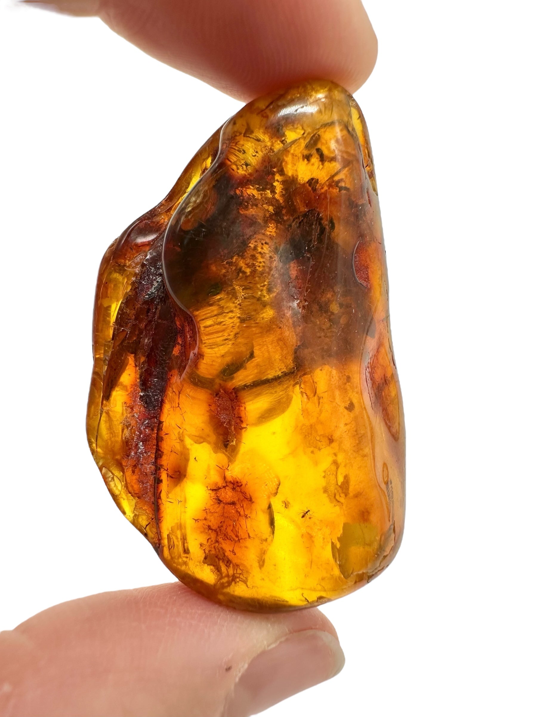 Insects in amber – Lithuania – 11,5g - IJ174