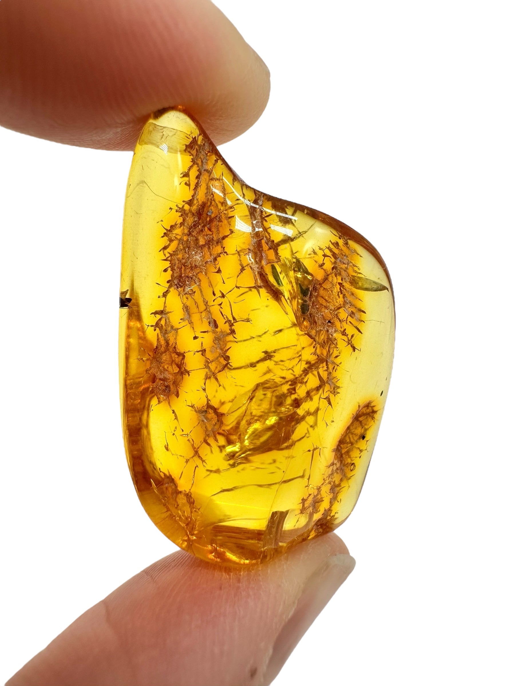 Insects in amber – Lithuania – 4,1g - IJ175