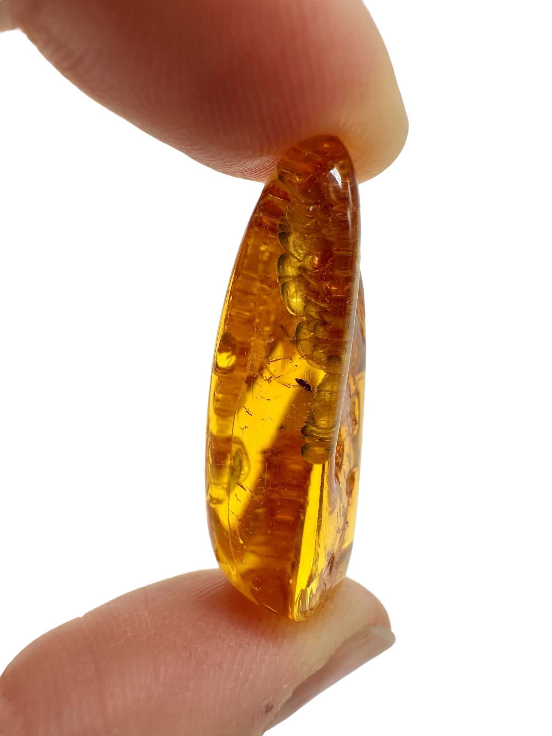 Insects in amber – Lithuania – 4,1g - IJ175