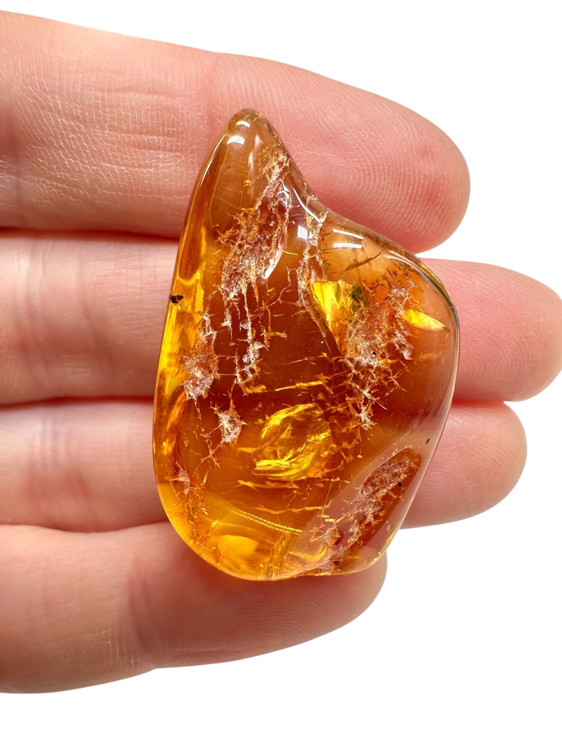 Insects in amber – Lithuania – 4,1g - IJ175
