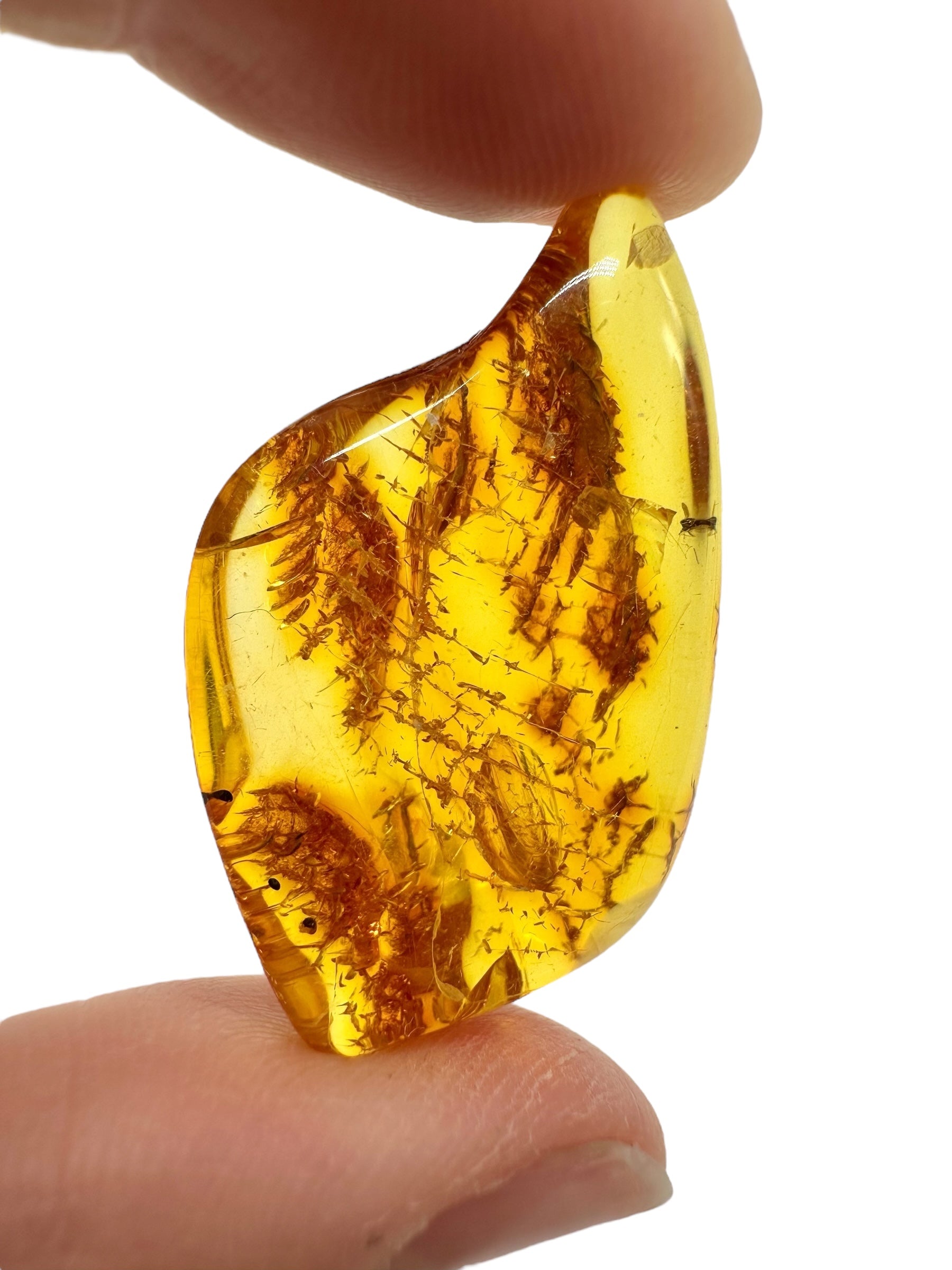 Insects in amber – Lithuania – 4,1g - IJ175