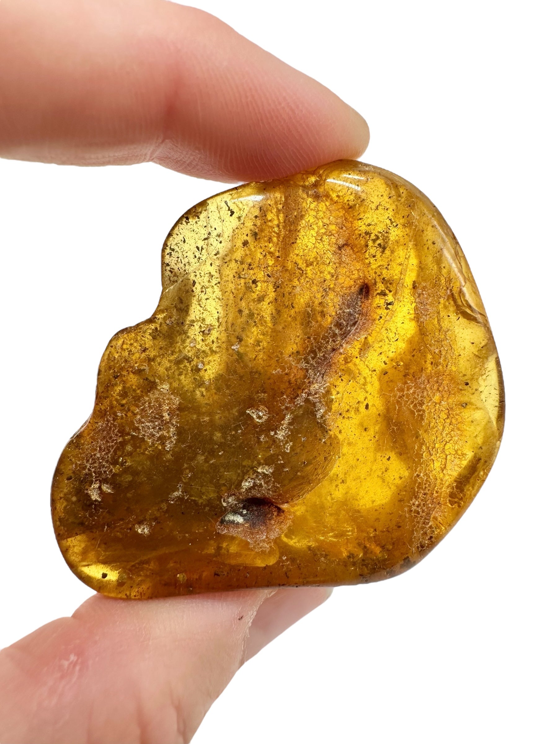 Insects in amber – Lithuania – 15,8g - IJ176