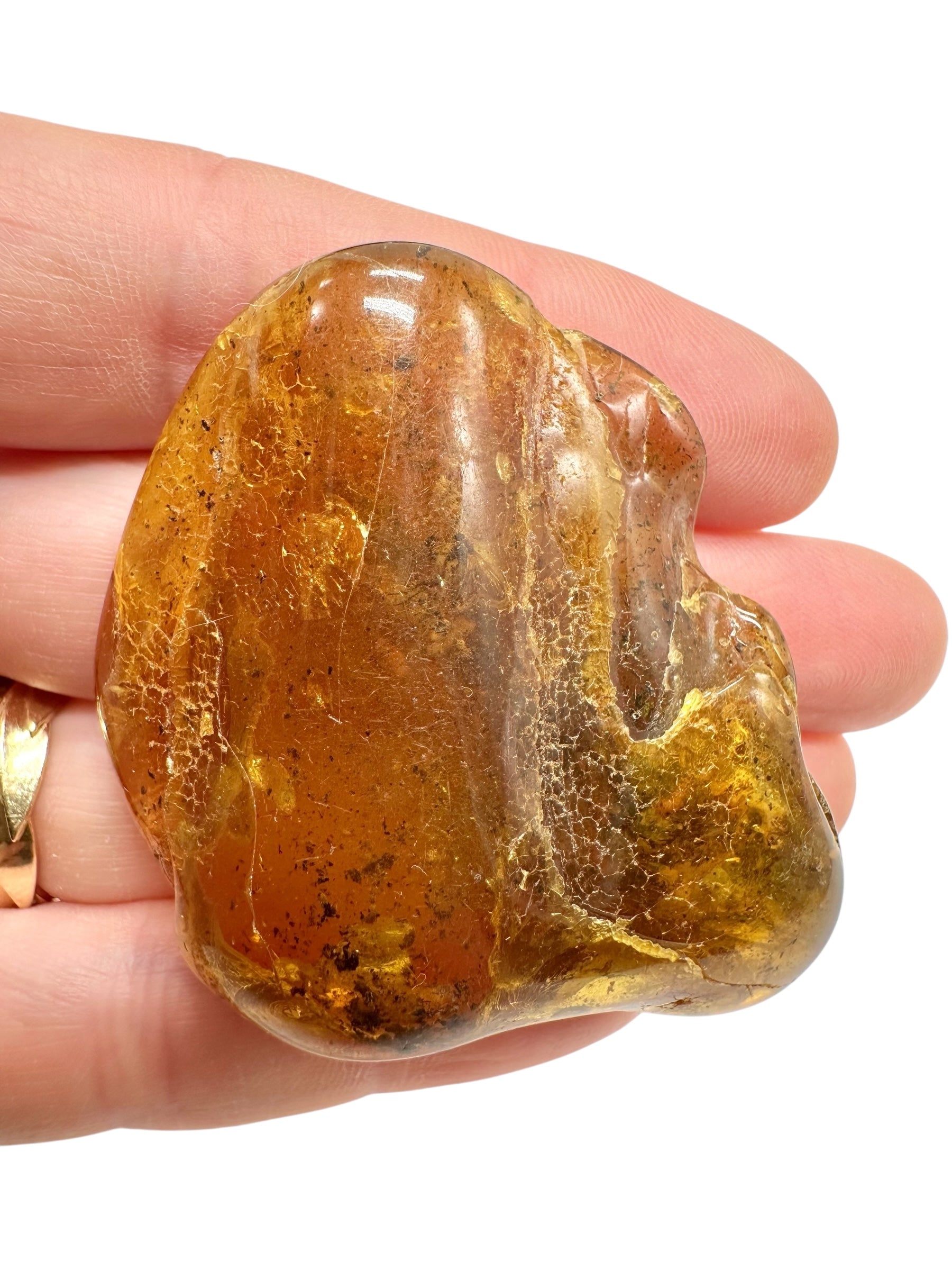Insects in amber – Lithuania – 15,8g - IJ176