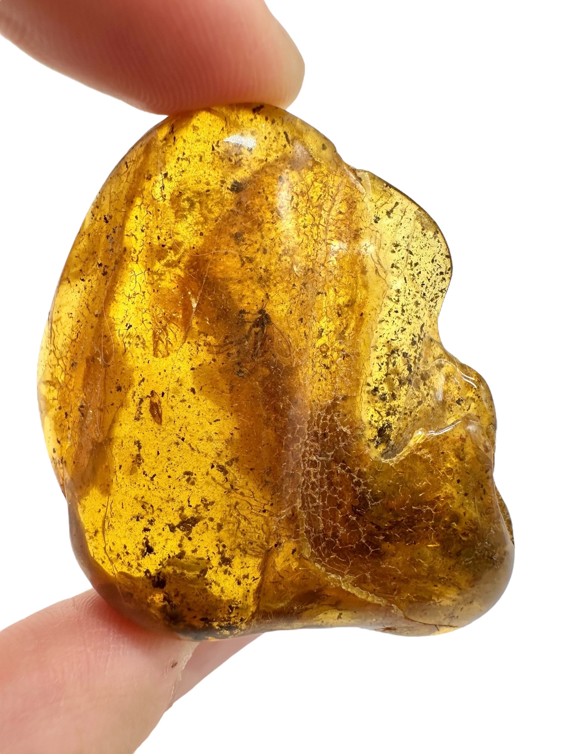 Insects in amber – Lithuania – 15,8g - IJ176