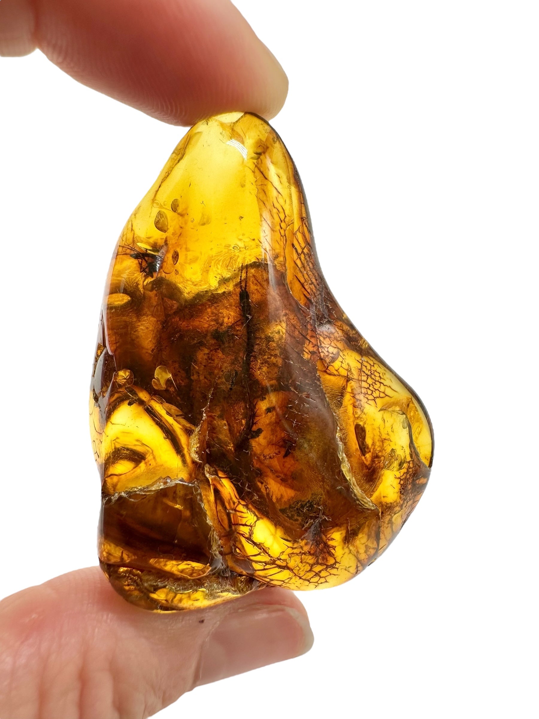 Insects in amber – Lithuania – 14,4g - IJ178