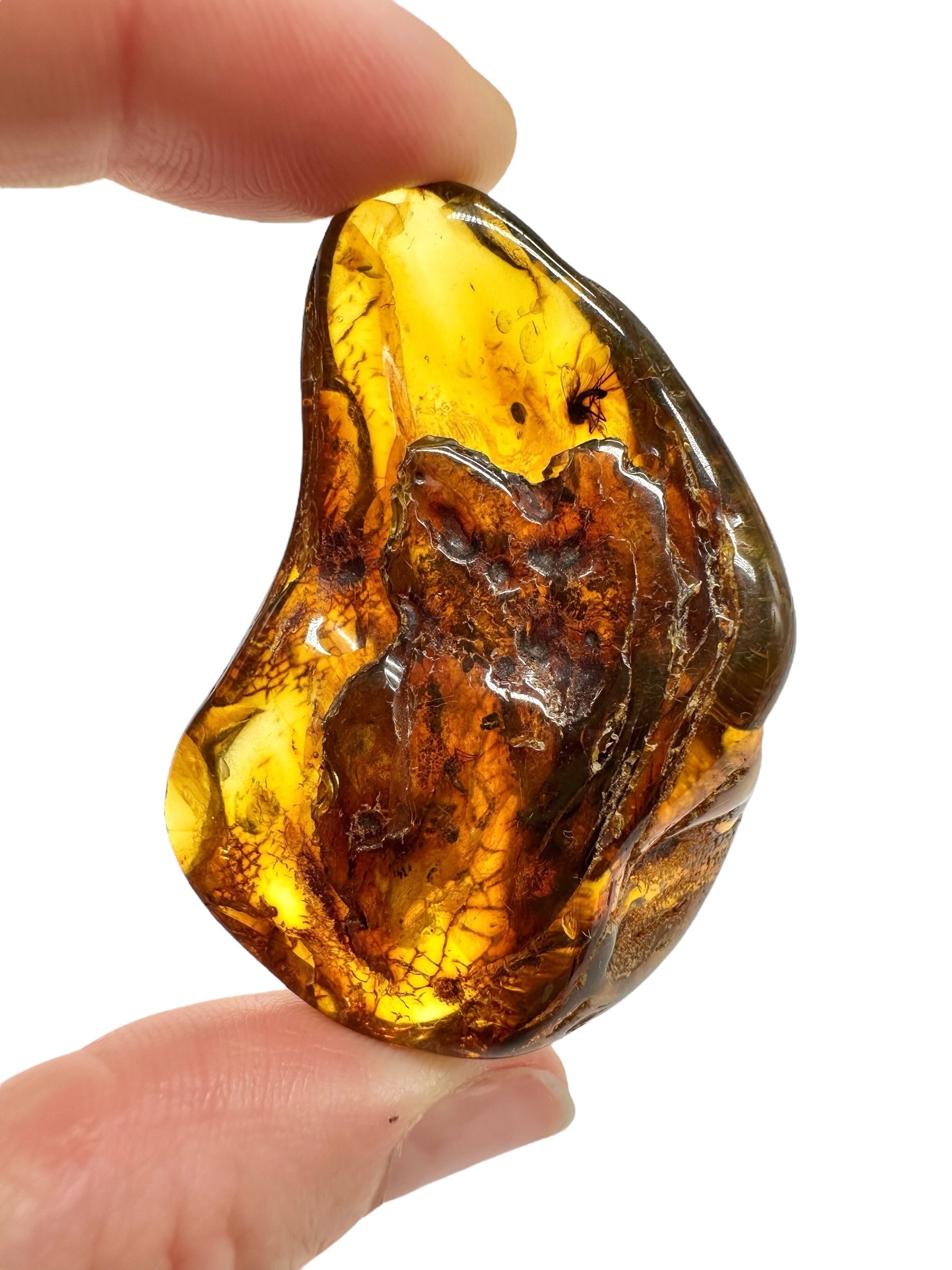Insects in amber – Lithuania – 14,4g - IJ178