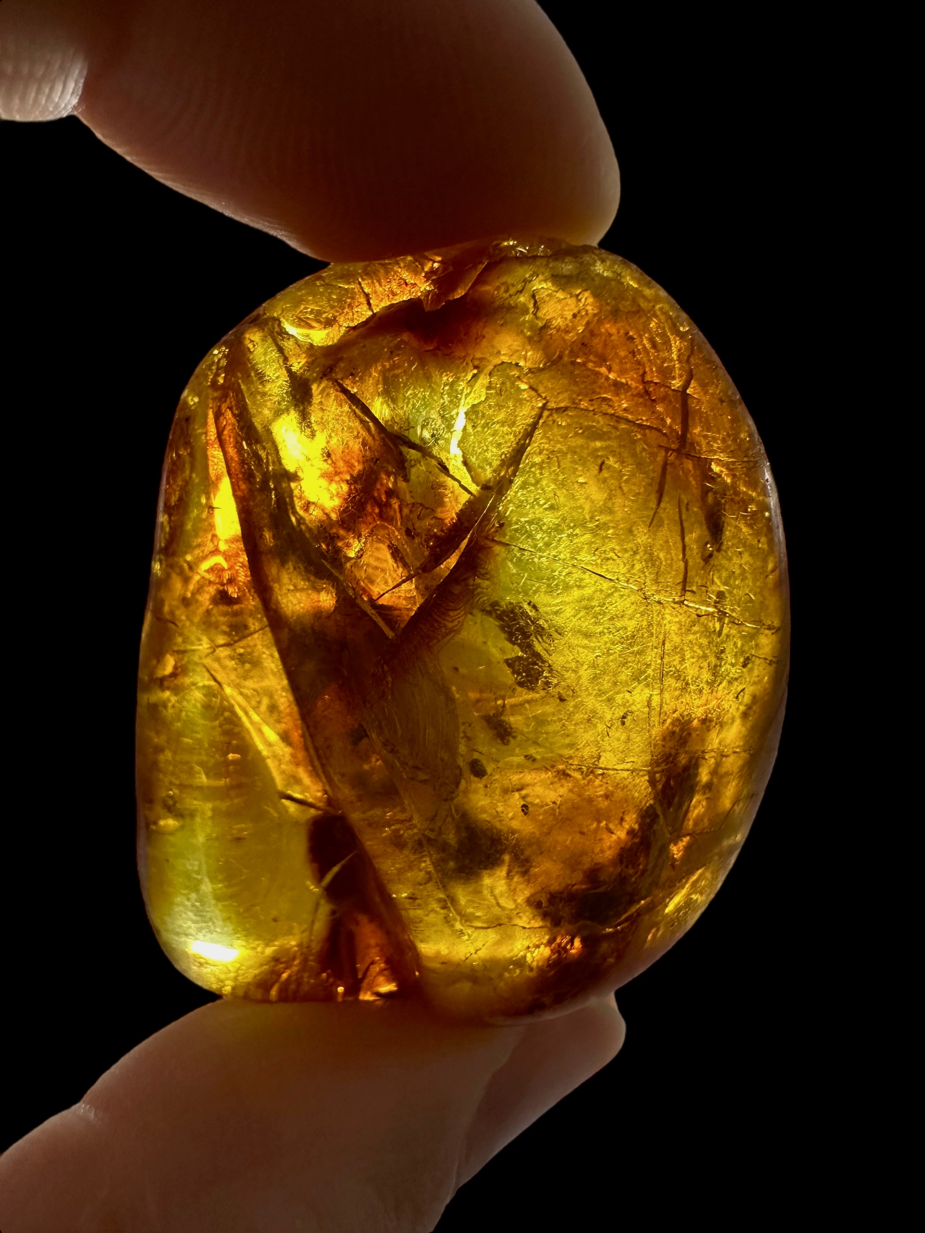 Amber 10,3g – Lithuania - JN730