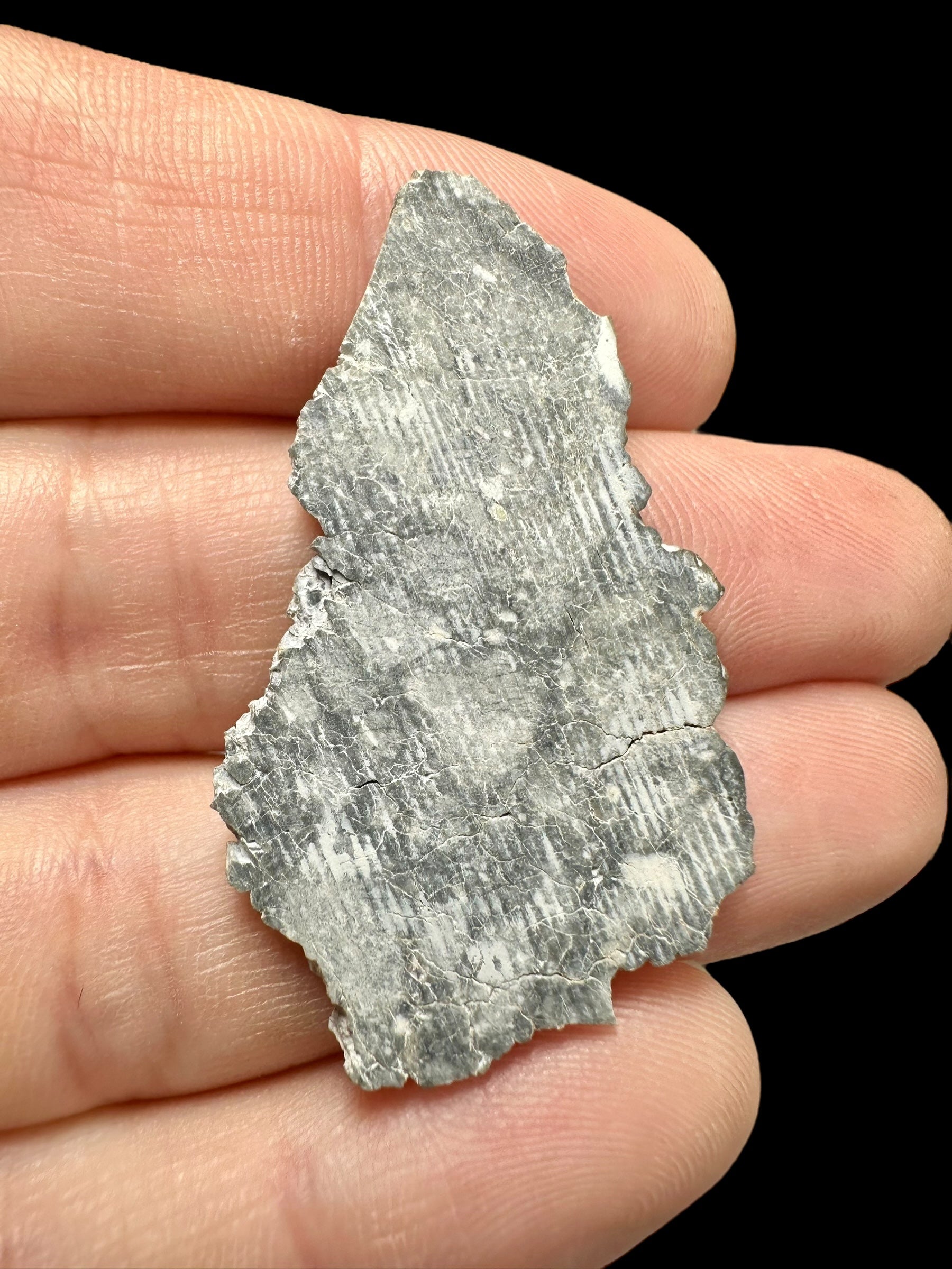 Lunar meteorite Gadamis 004 – 3,5g – Libya - MEGD09