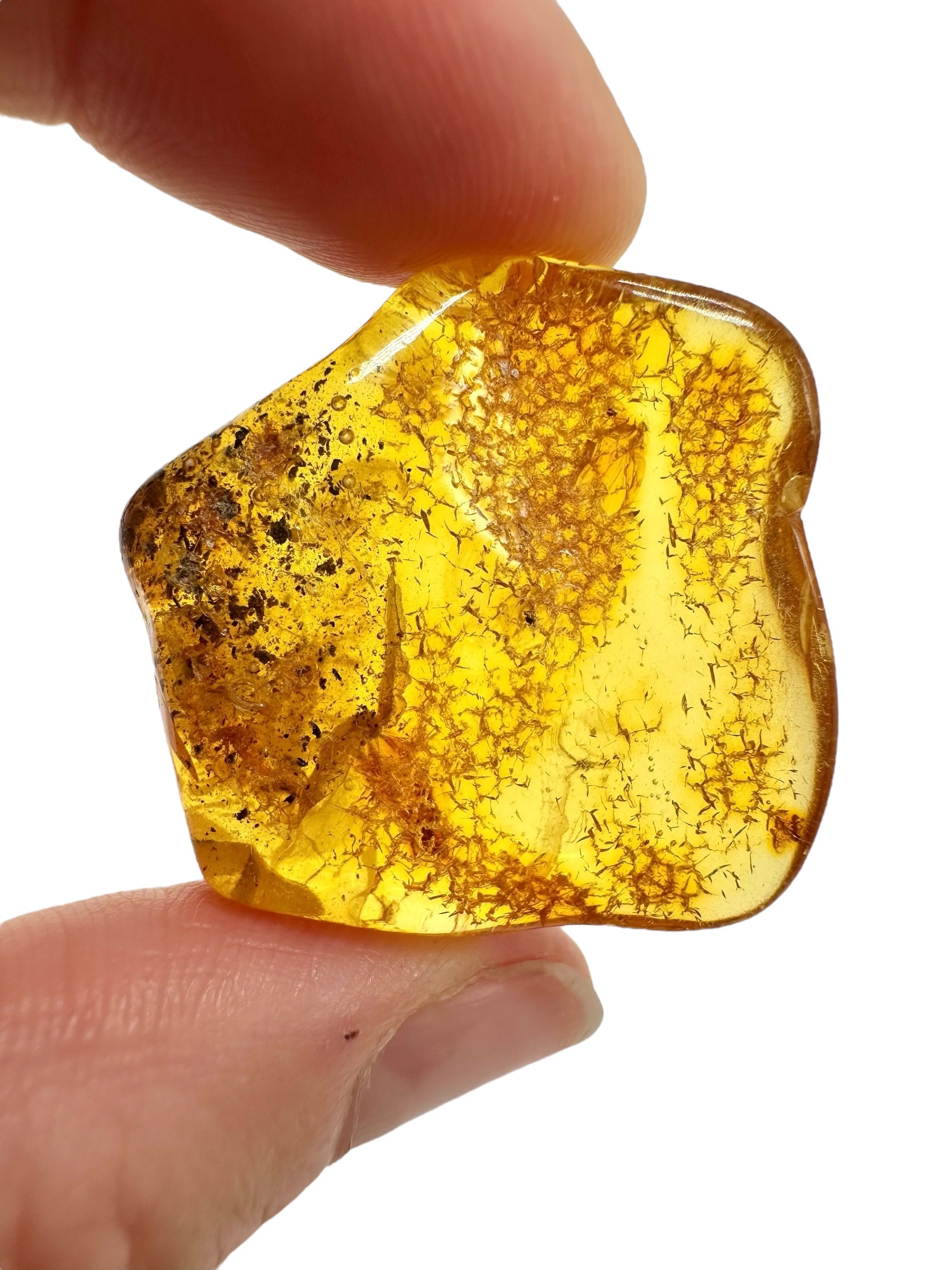 Insects in amber – Lithuania – 4,8g - IJ179