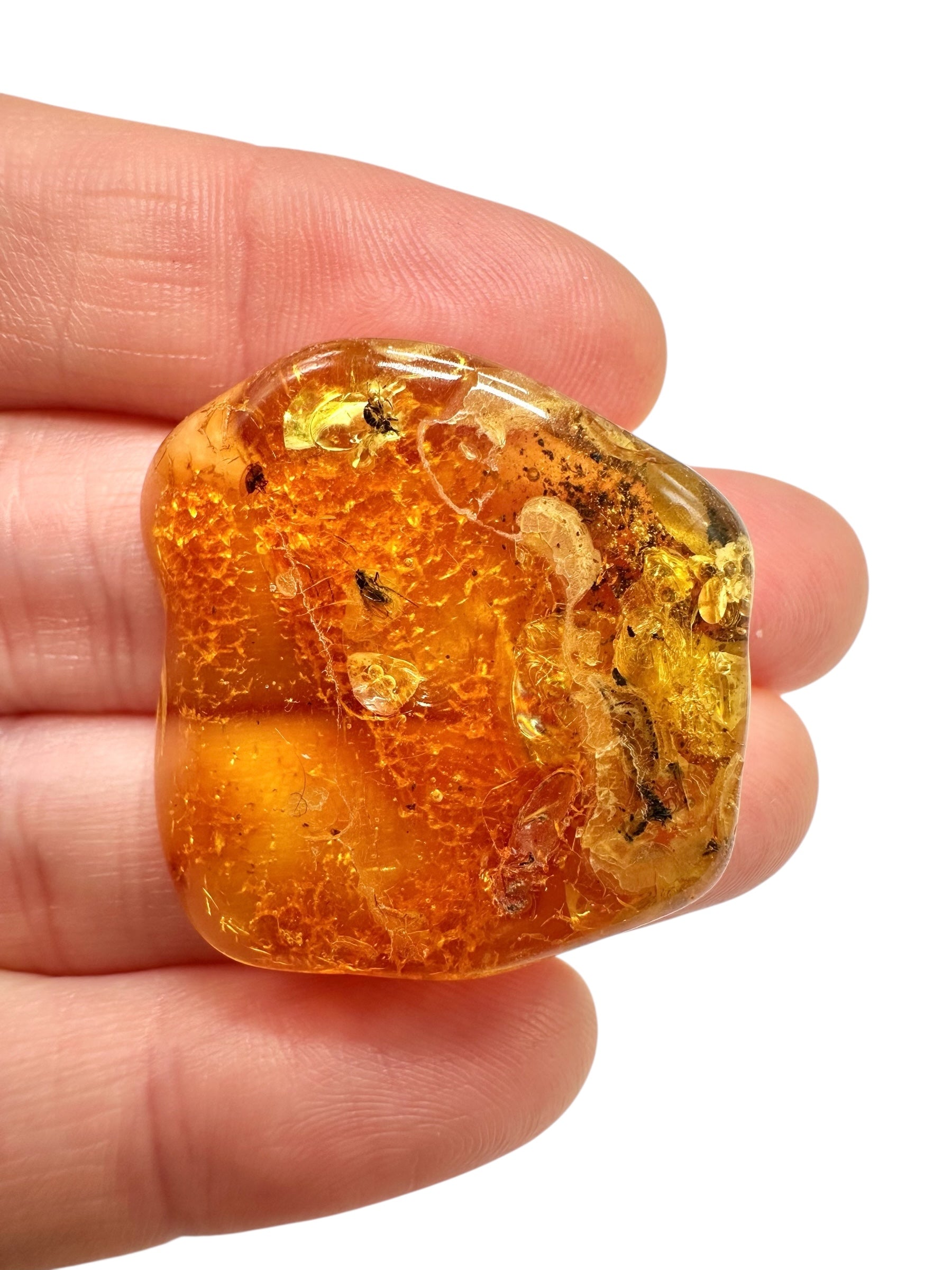 Insects in amber – Lithuania – 4,8g - IJ179