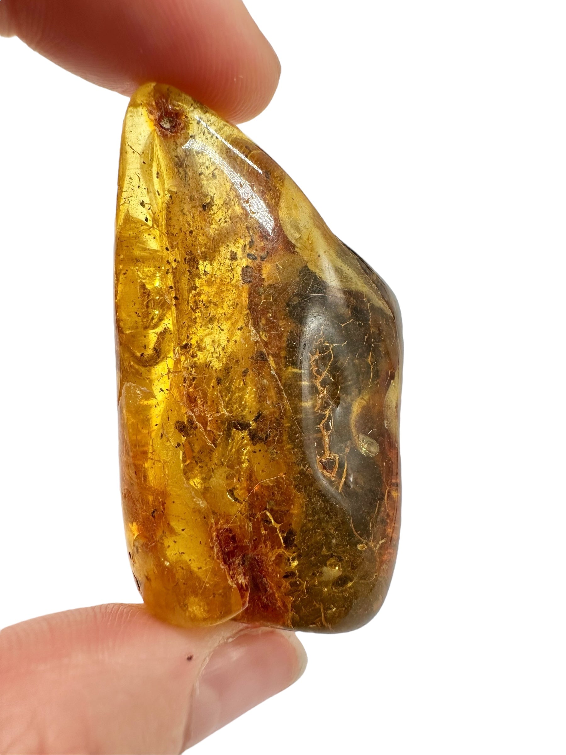 Insects in amber – Lithuania – 17g - IJ180