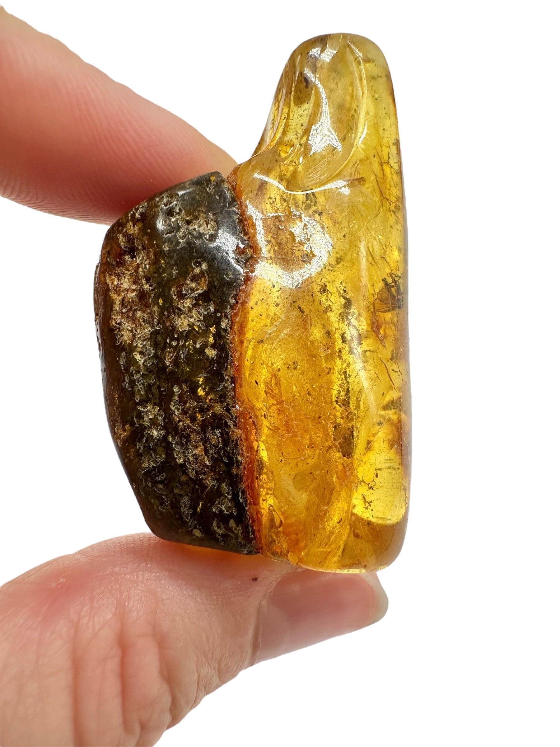 Insects in amber – Lithuania – 17g - IJ180