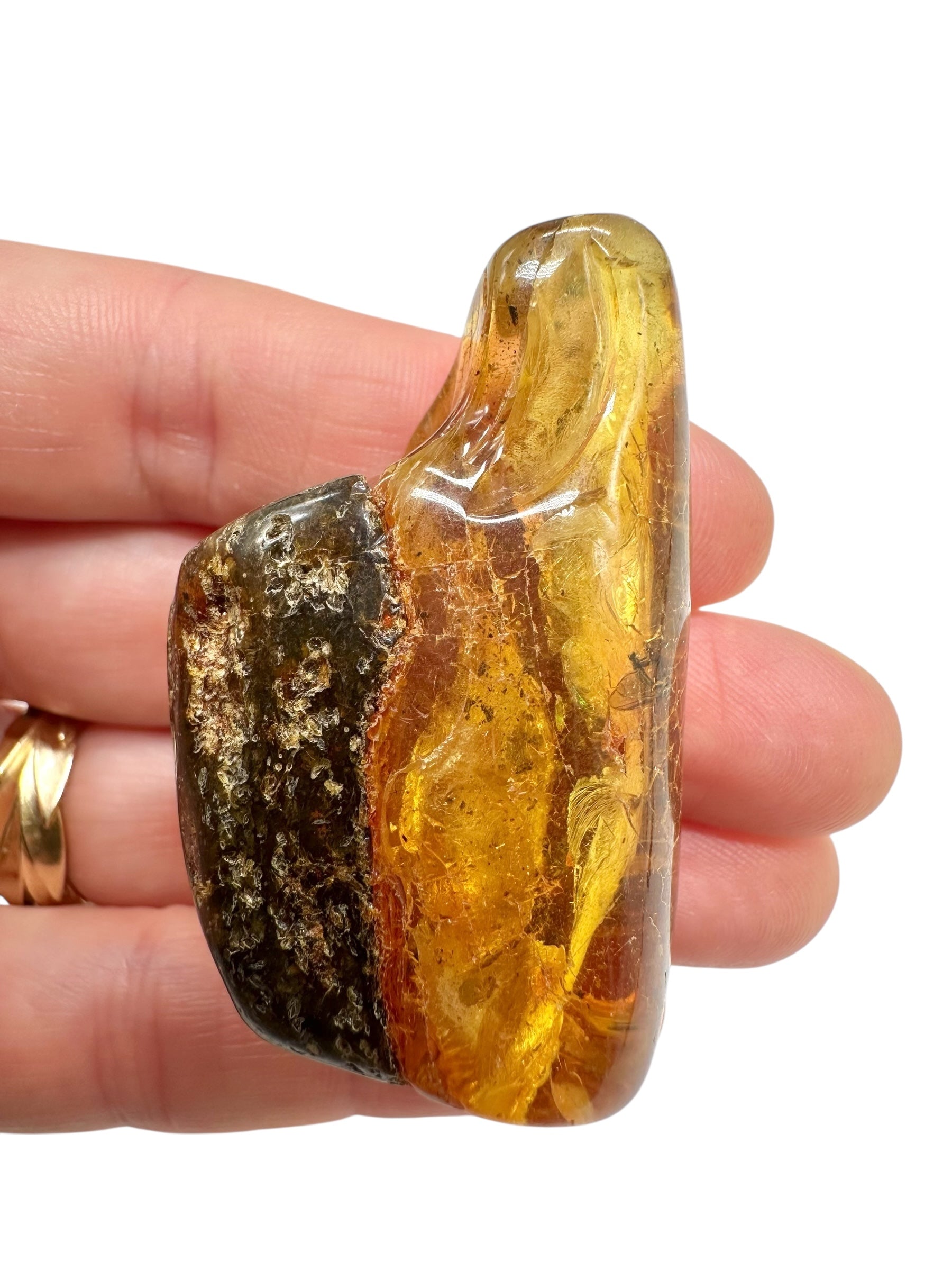 Insects in amber – Lithuania – 17g - IJ180