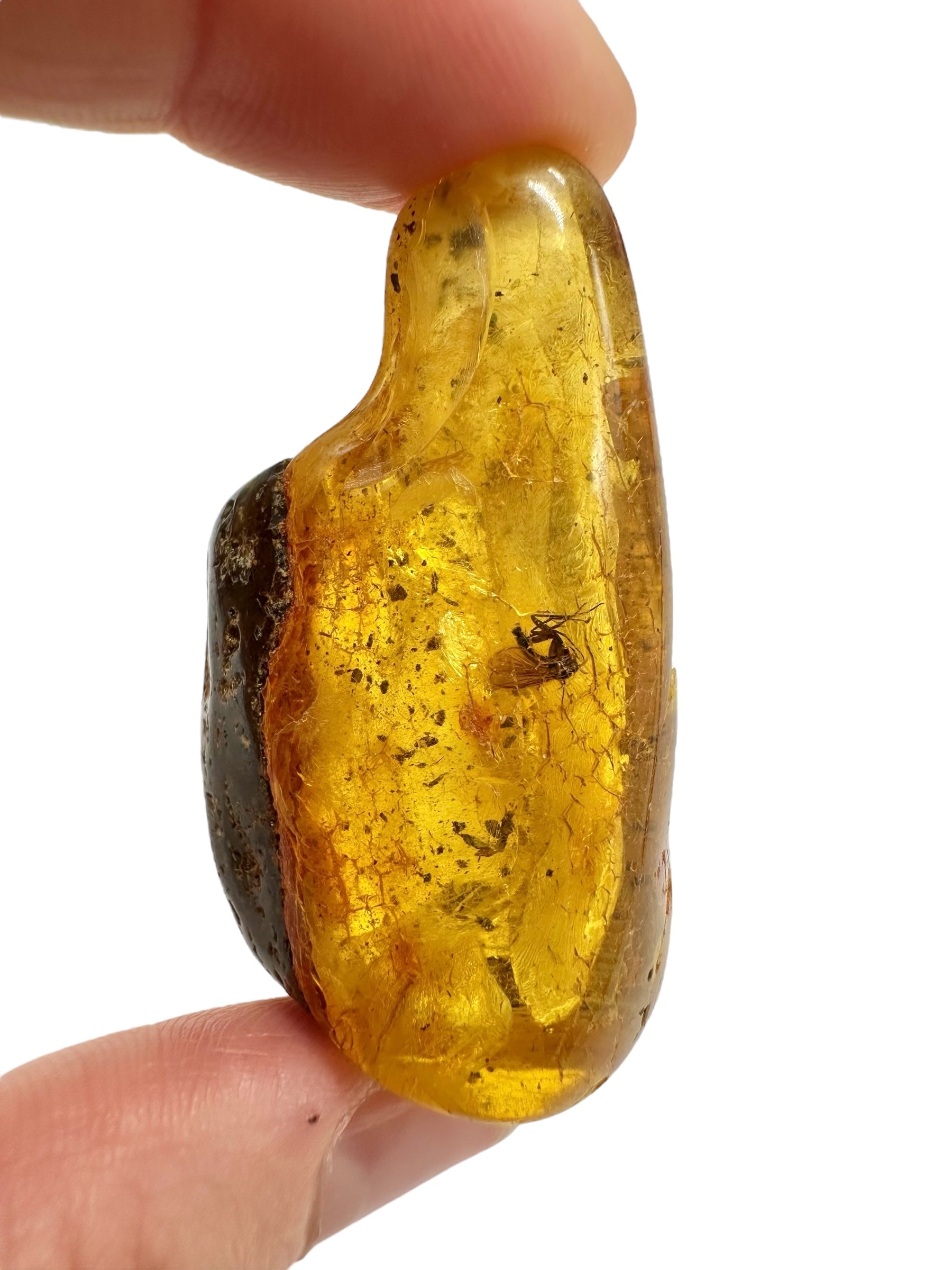 Insects in amber – Lithuania – 17g - IJ180