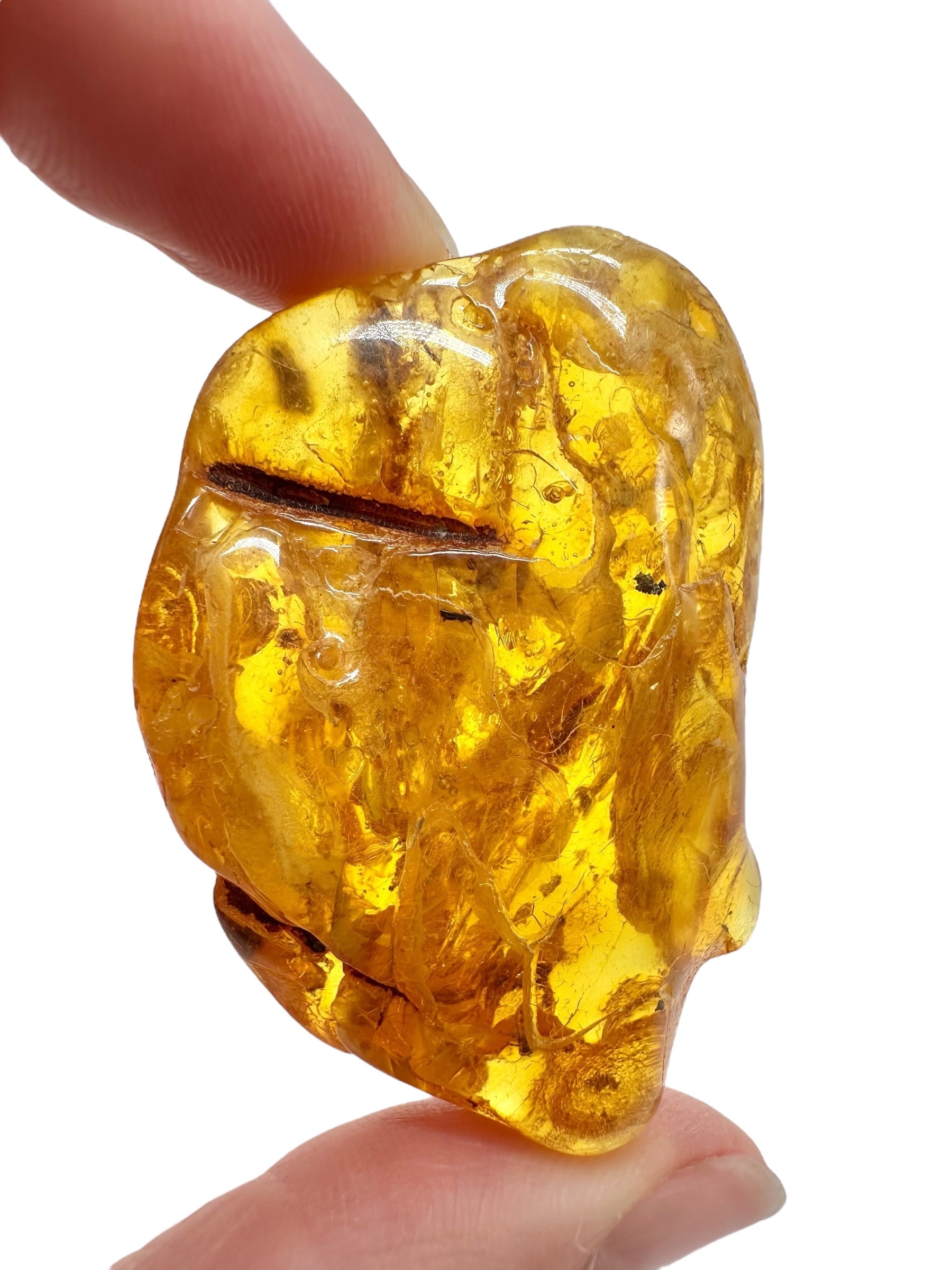 Insects in amber – Lithuania – 13,2g - IJ181