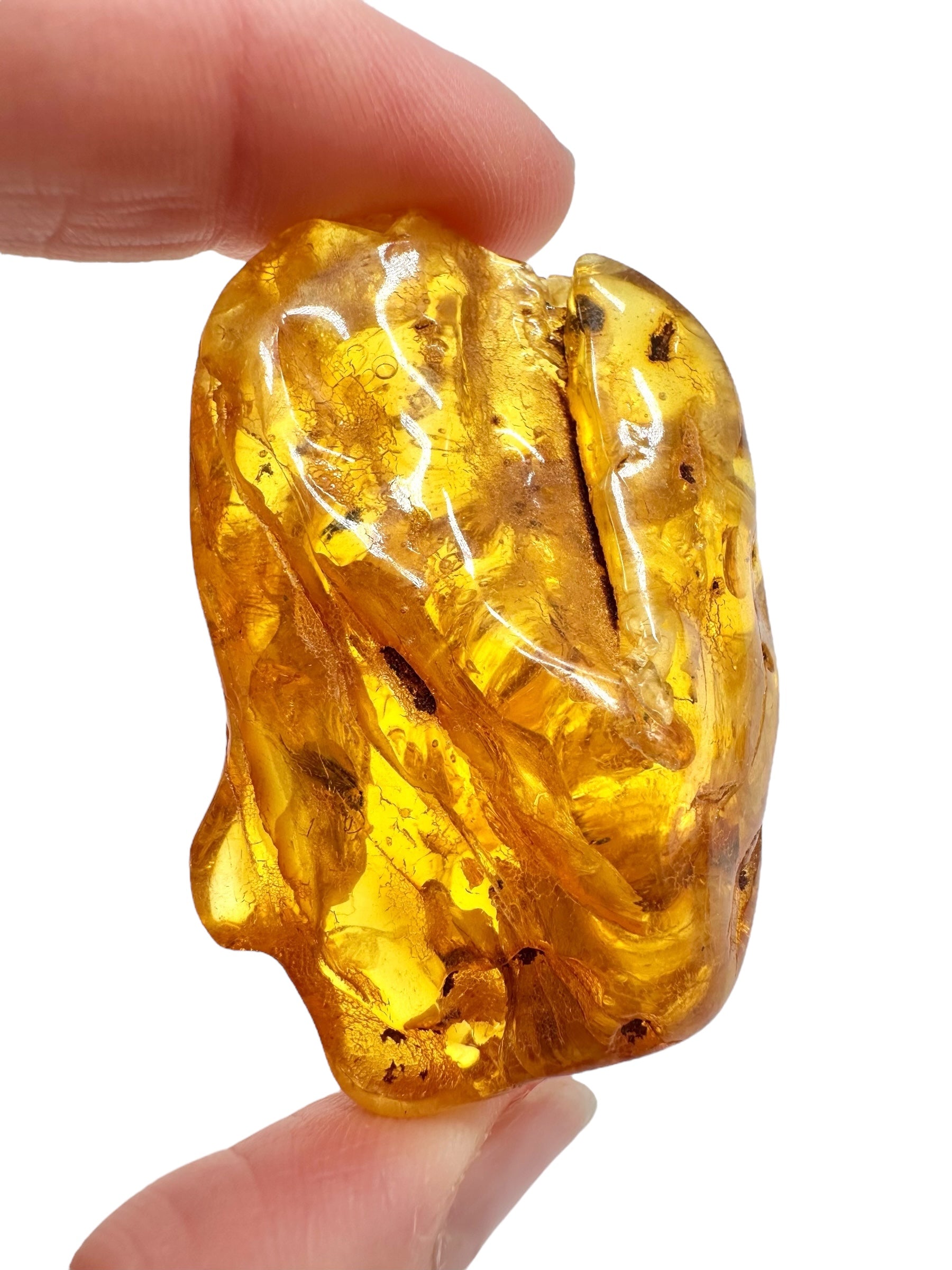 Insects in amber – Lithuania – 13,2g - IJ181