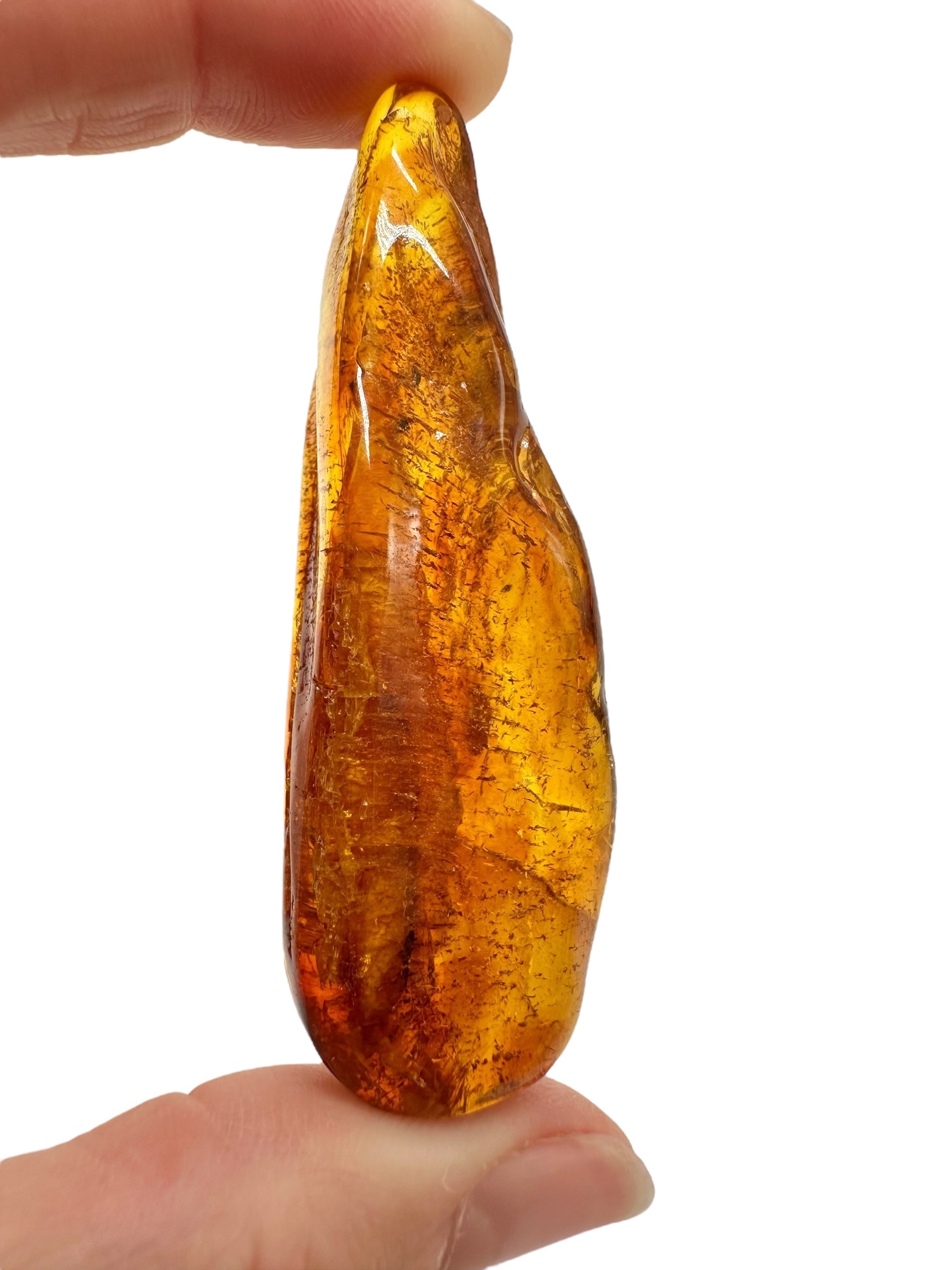 Insects in amber – Lithuania – 11,6g - IJ183