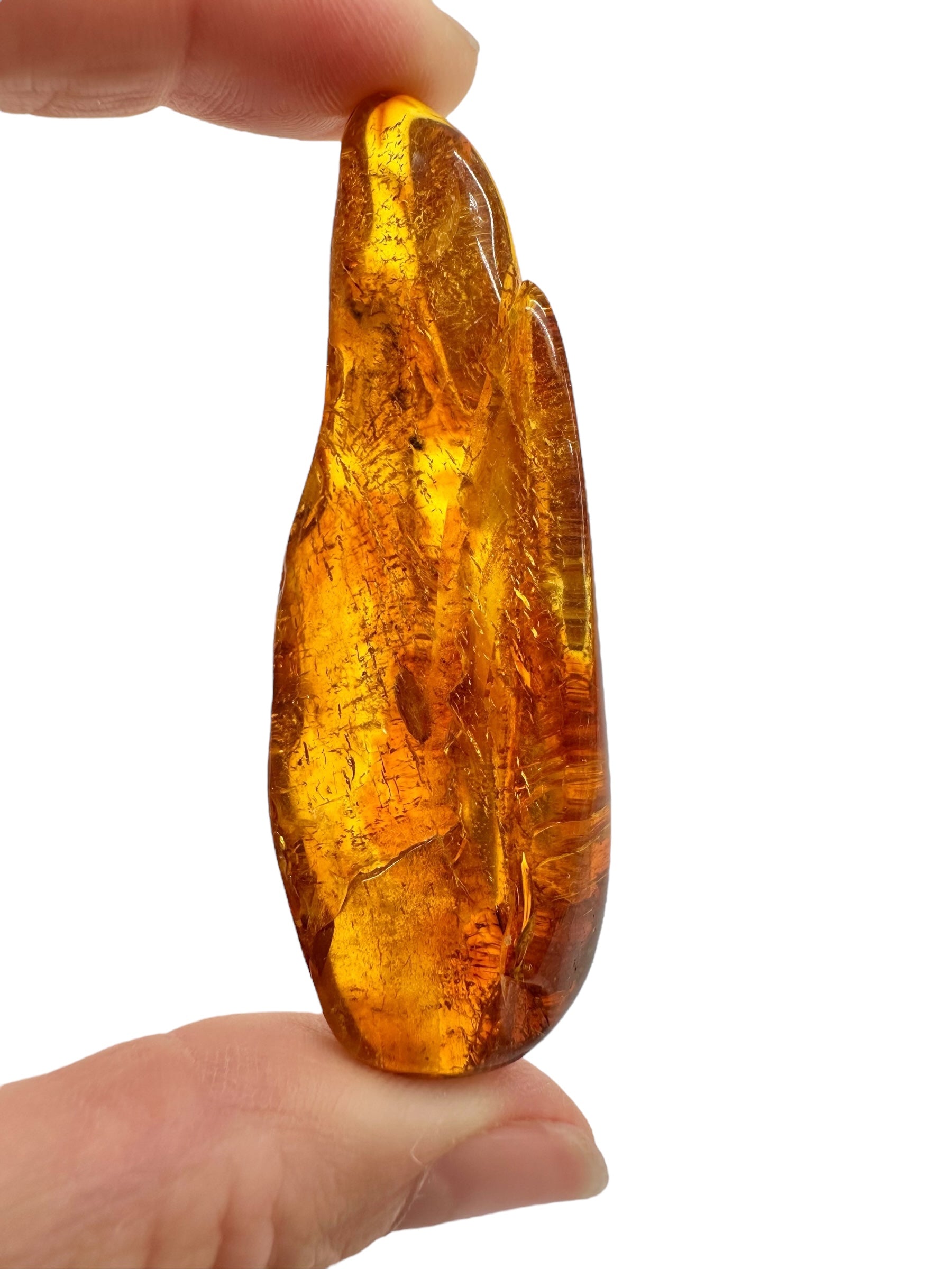 Insects in amber – Lithuania – 11,6g