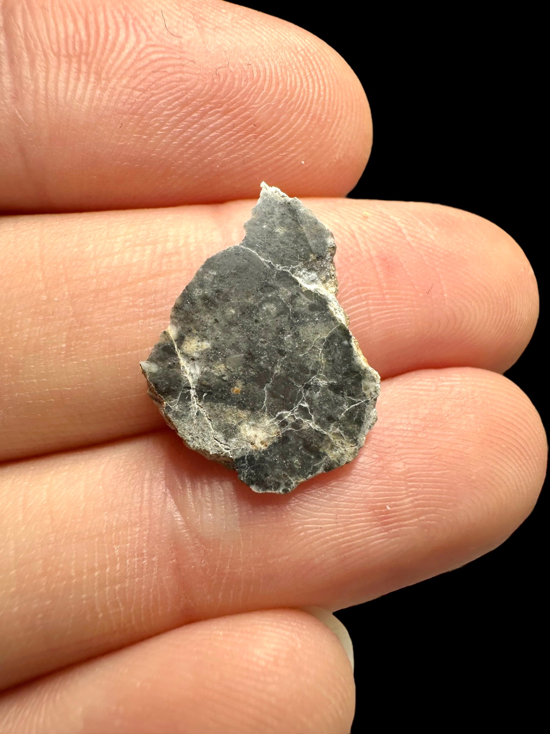 Lunar meteorite Bechar 007 – 0,5g – Algeria