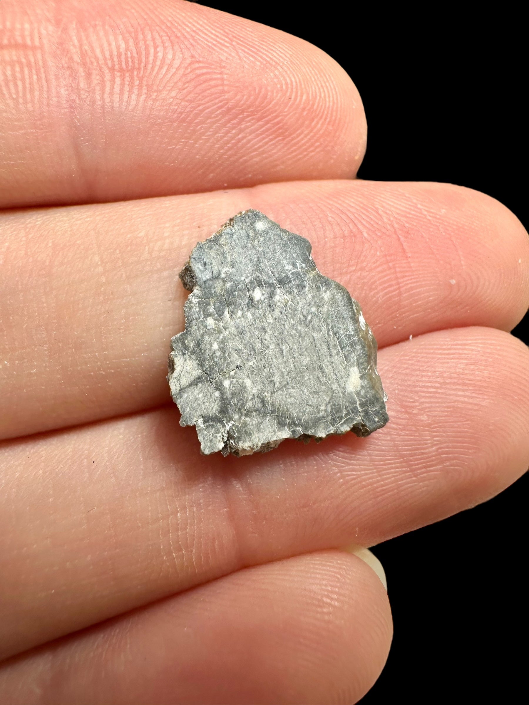 Lunar meteorite Gadamis 004 – 0,7g – Libya - MEGD19