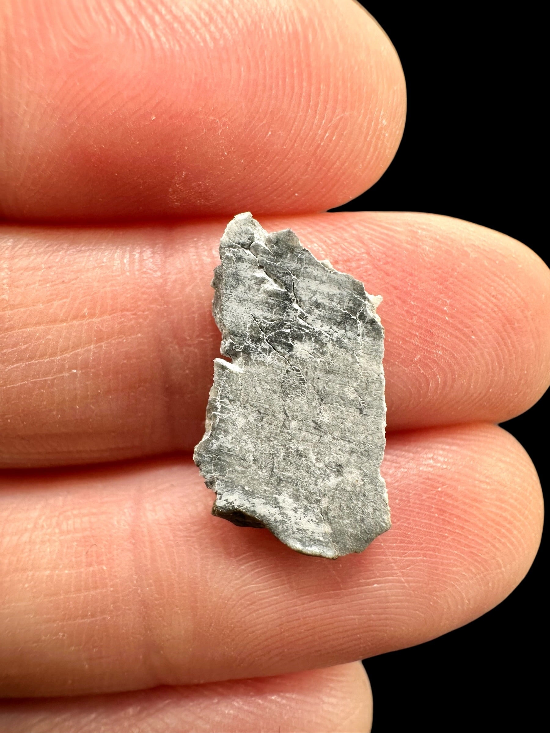 Lunar meteorite Gadamis 004 – 0,6g – Libya - MEGD24