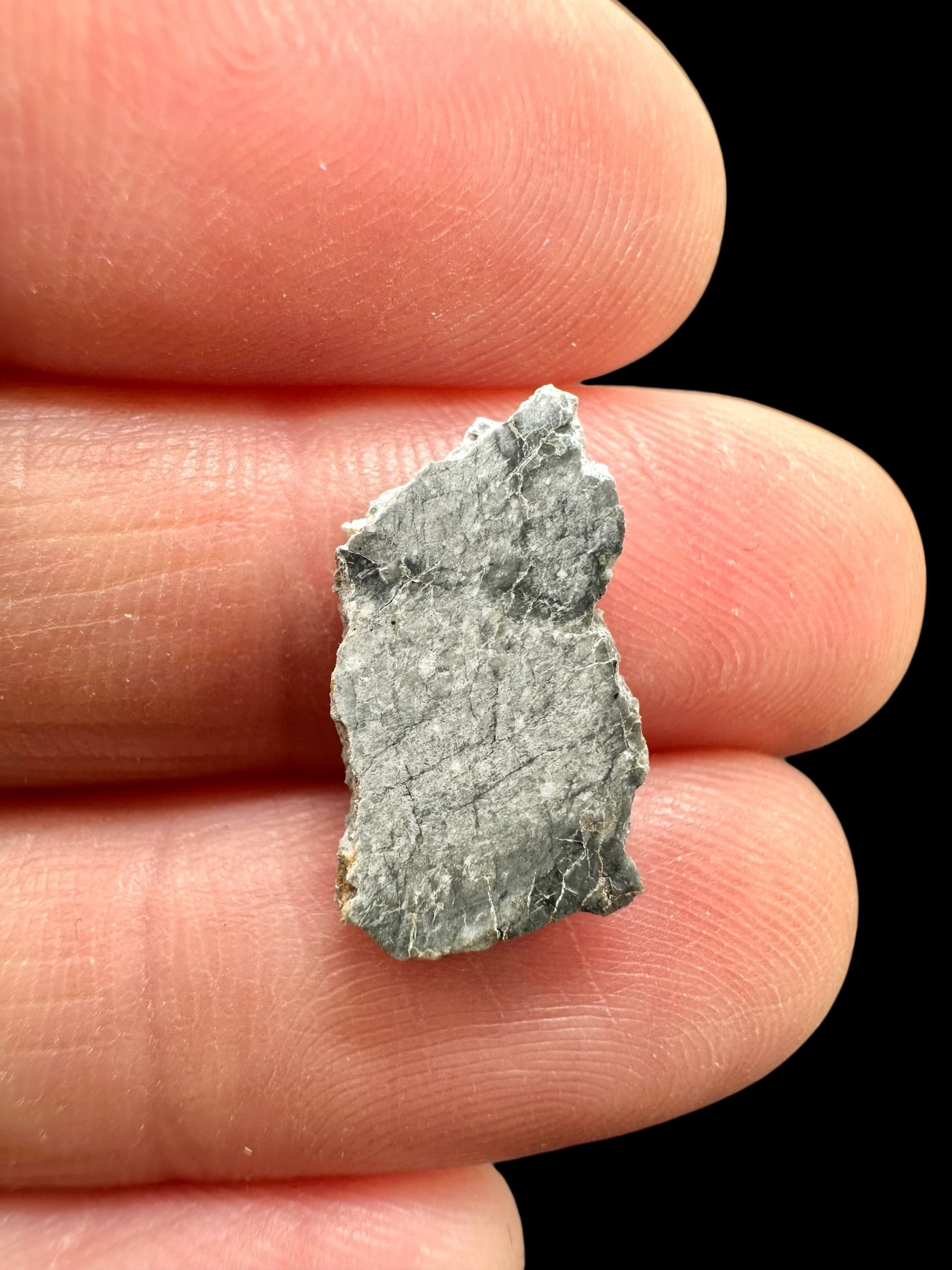 Lunar meteorite Gadamis 004 – 0,6g – Libya - MEGD24