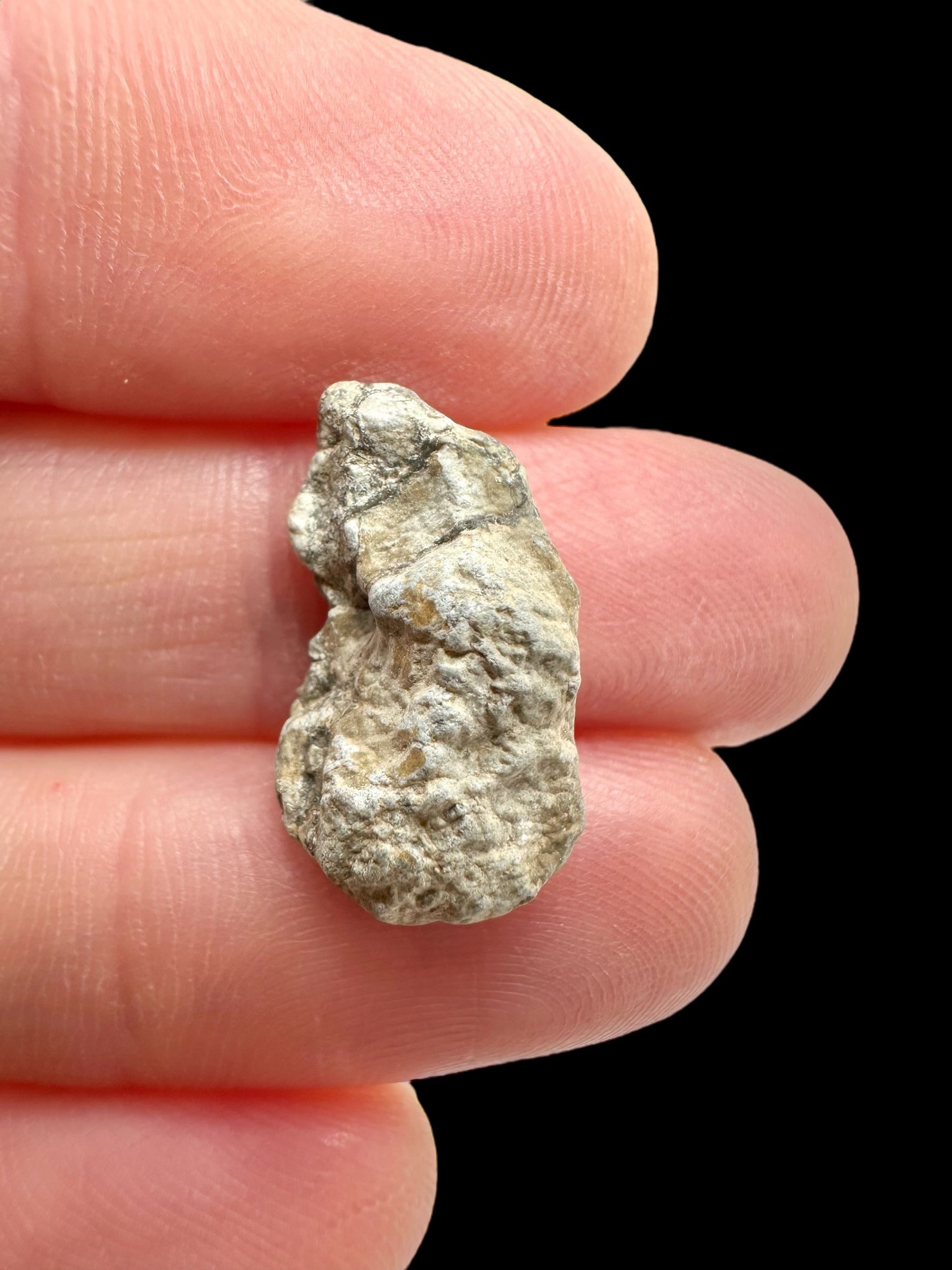 Lunar meteorite Gadamis 004 – 1,2g – Libya - MEGD26