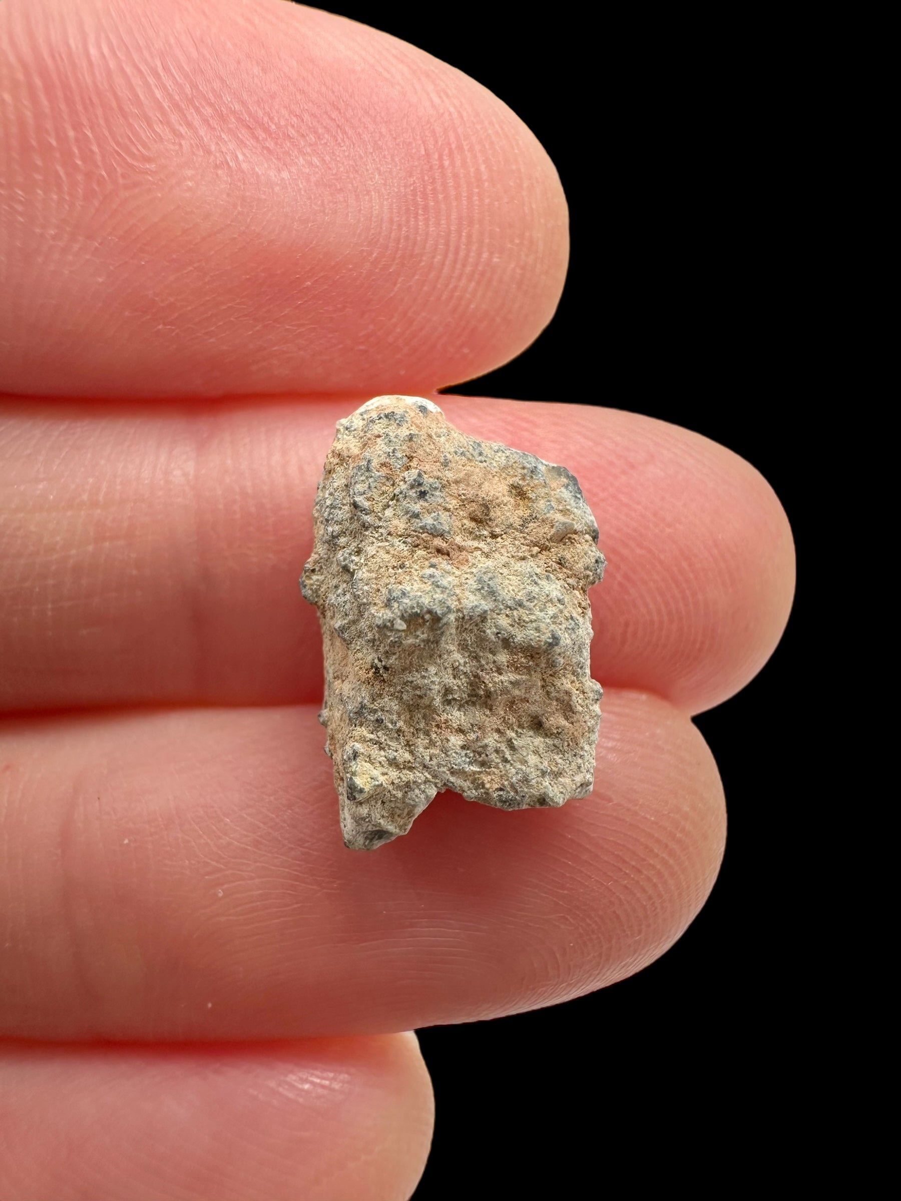 Lunar meteorite Gadamis 004 – 0,9g – Libya - MEGD28
