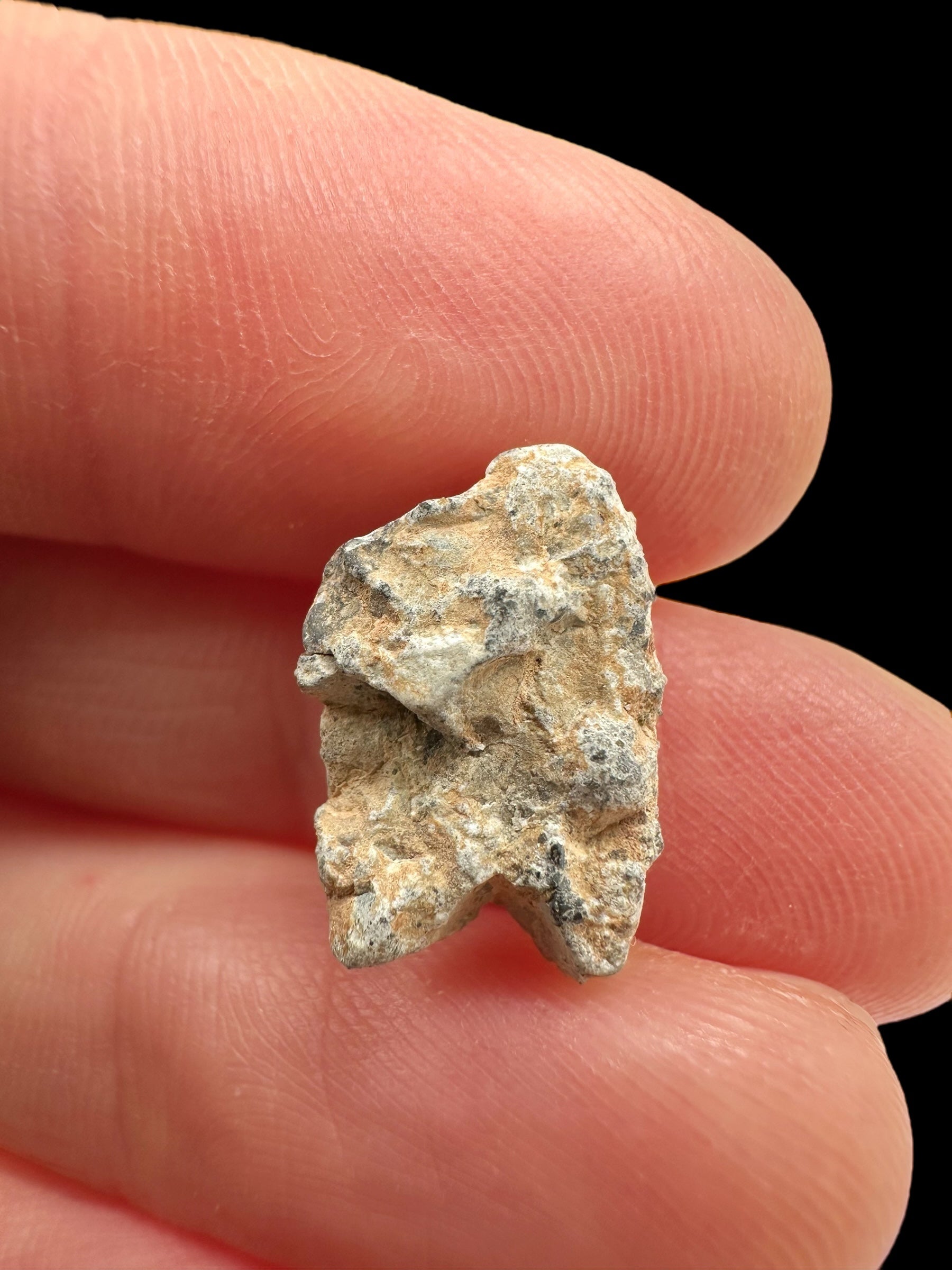 Lunar meteorite Gadamis 004 – 0,9g – Libya - MEGD28