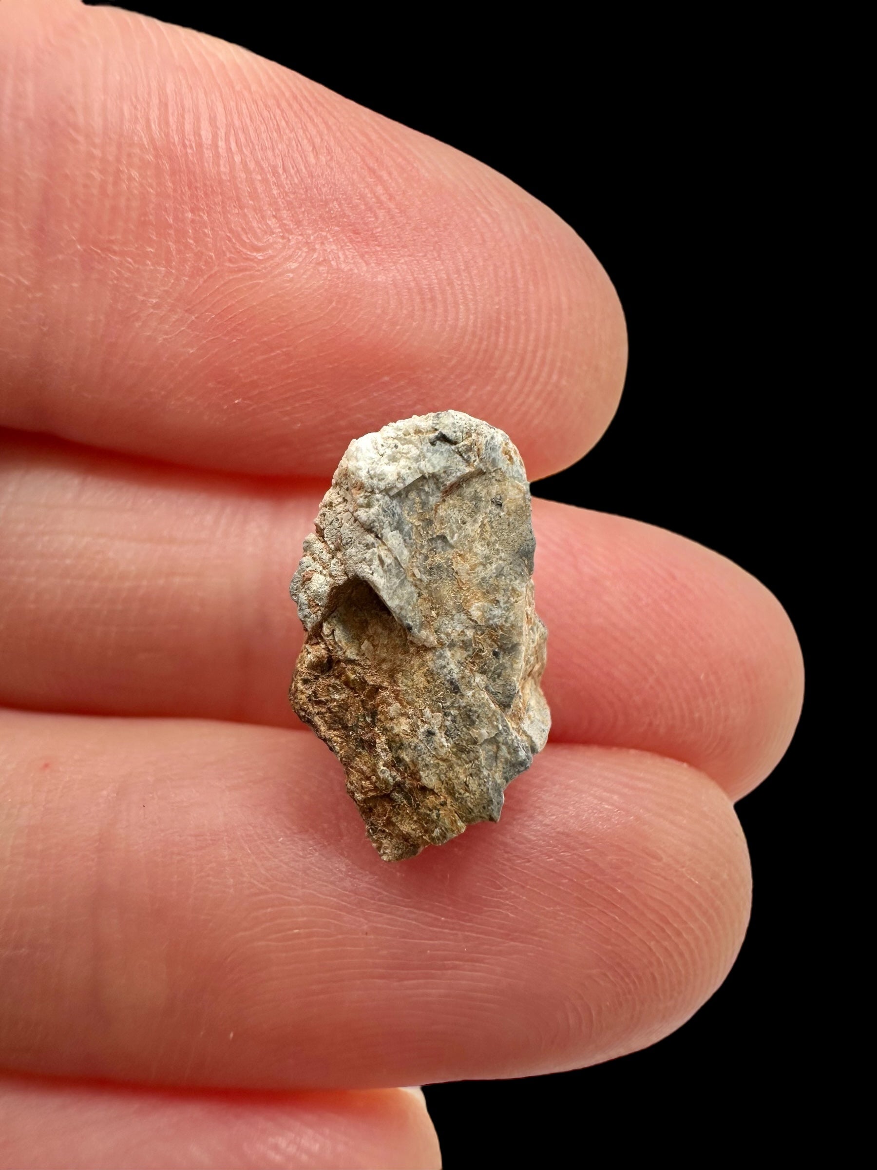 Lunar meteorite Gadamis 004 – 1,1g – Libya - MEGD31