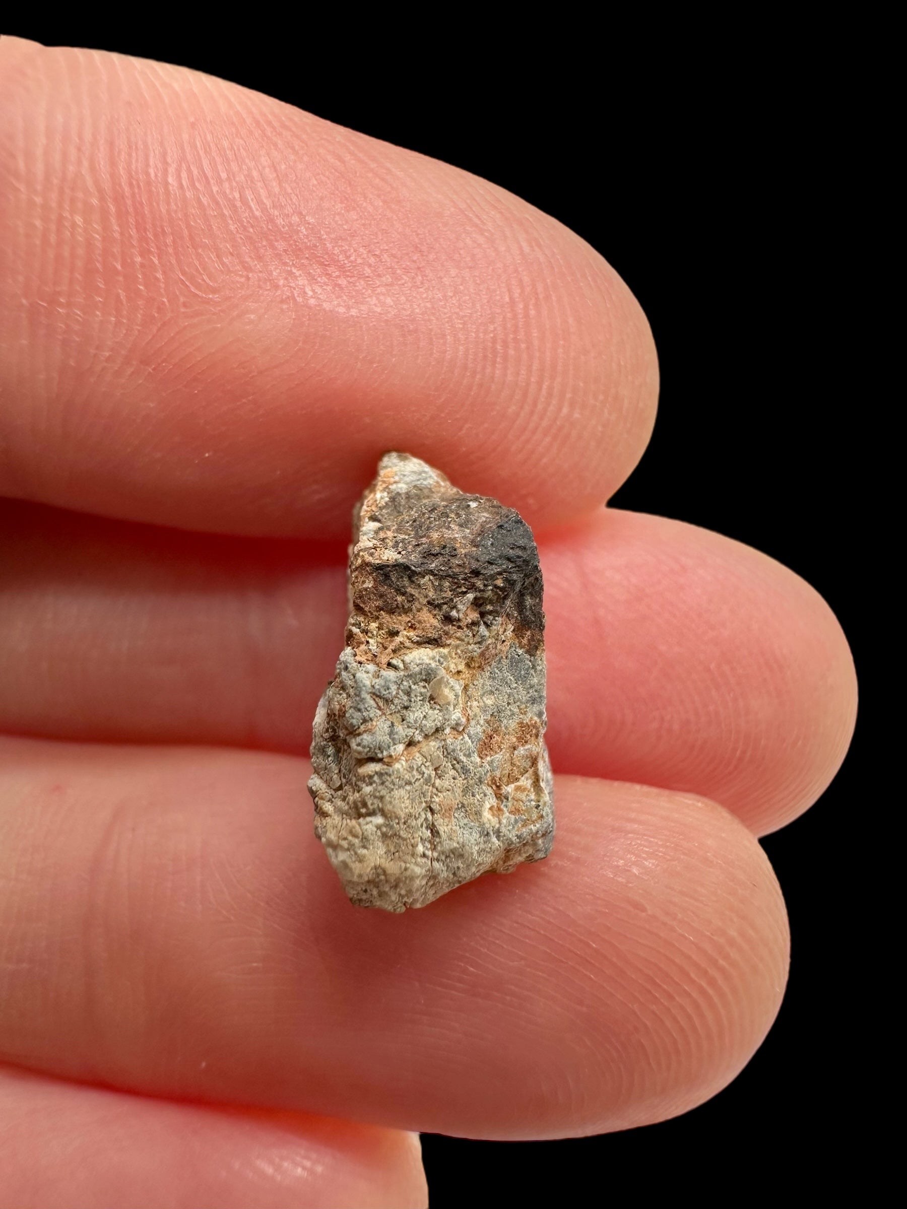 Lunar meteorite Gadamis 004 – 1,1g – Libya - MEGD31