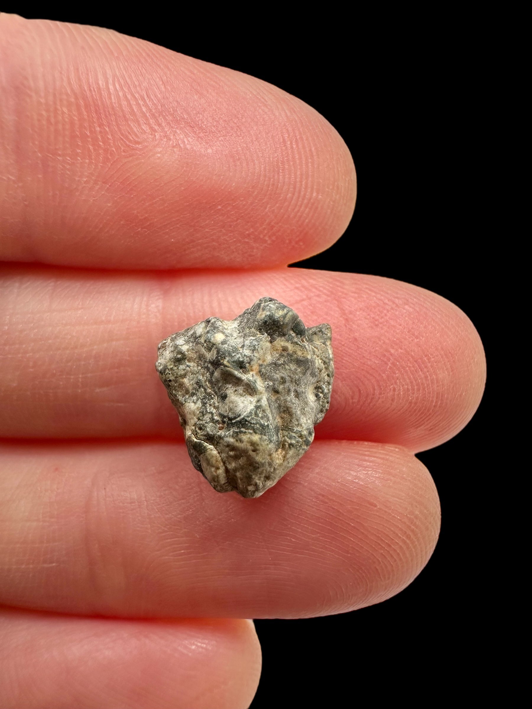 Lunar meteorite Gadamis 004 – 1g – Libya - MEGD33