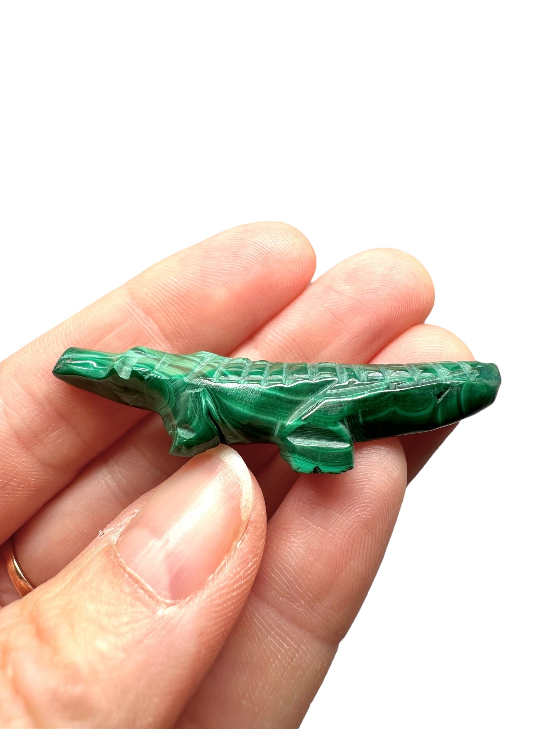 Malachite animal – Crocodile - MZ038