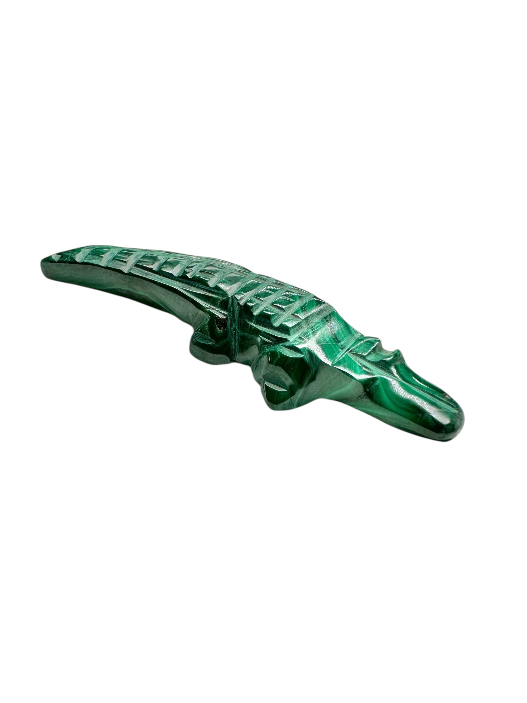 Malachite animal – Crocodile
