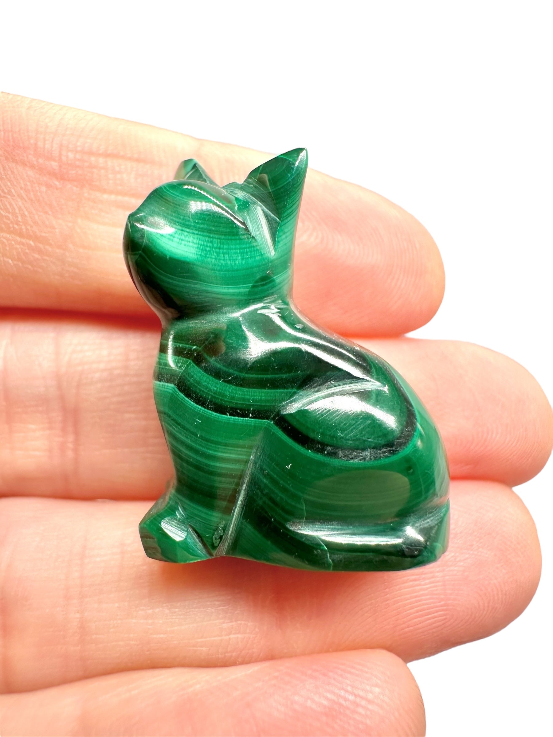 Malachite animal – Cat - MZ039