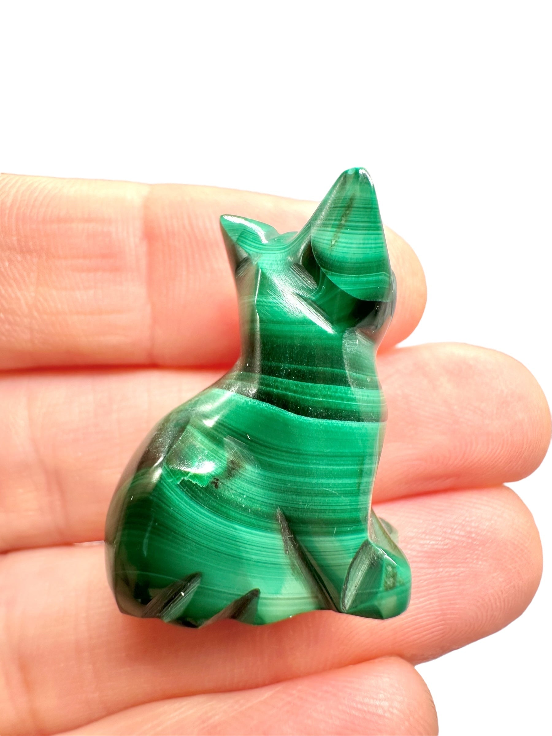 Malachite animal – Cat - MZ039