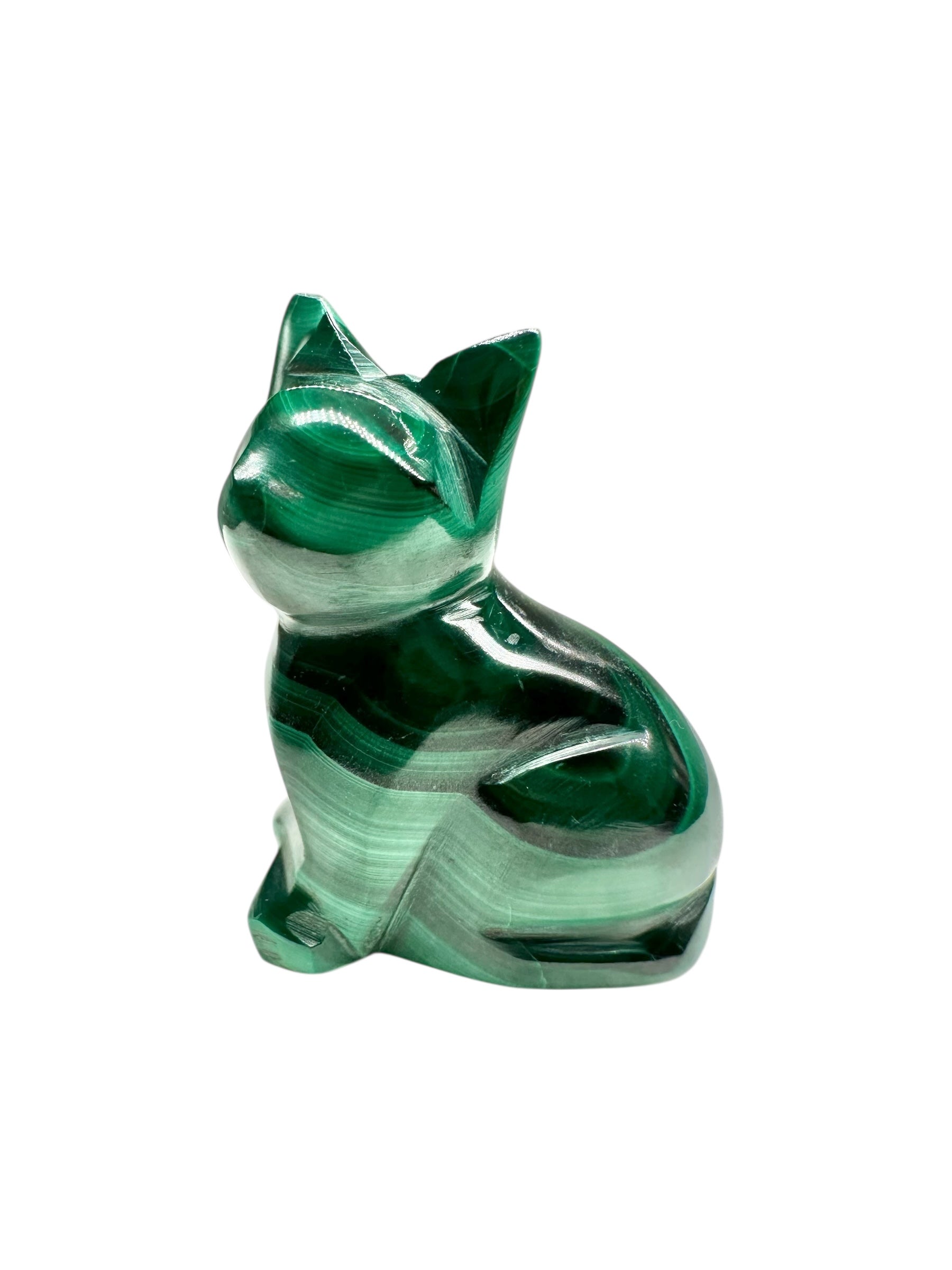 Malachite animal – Cat