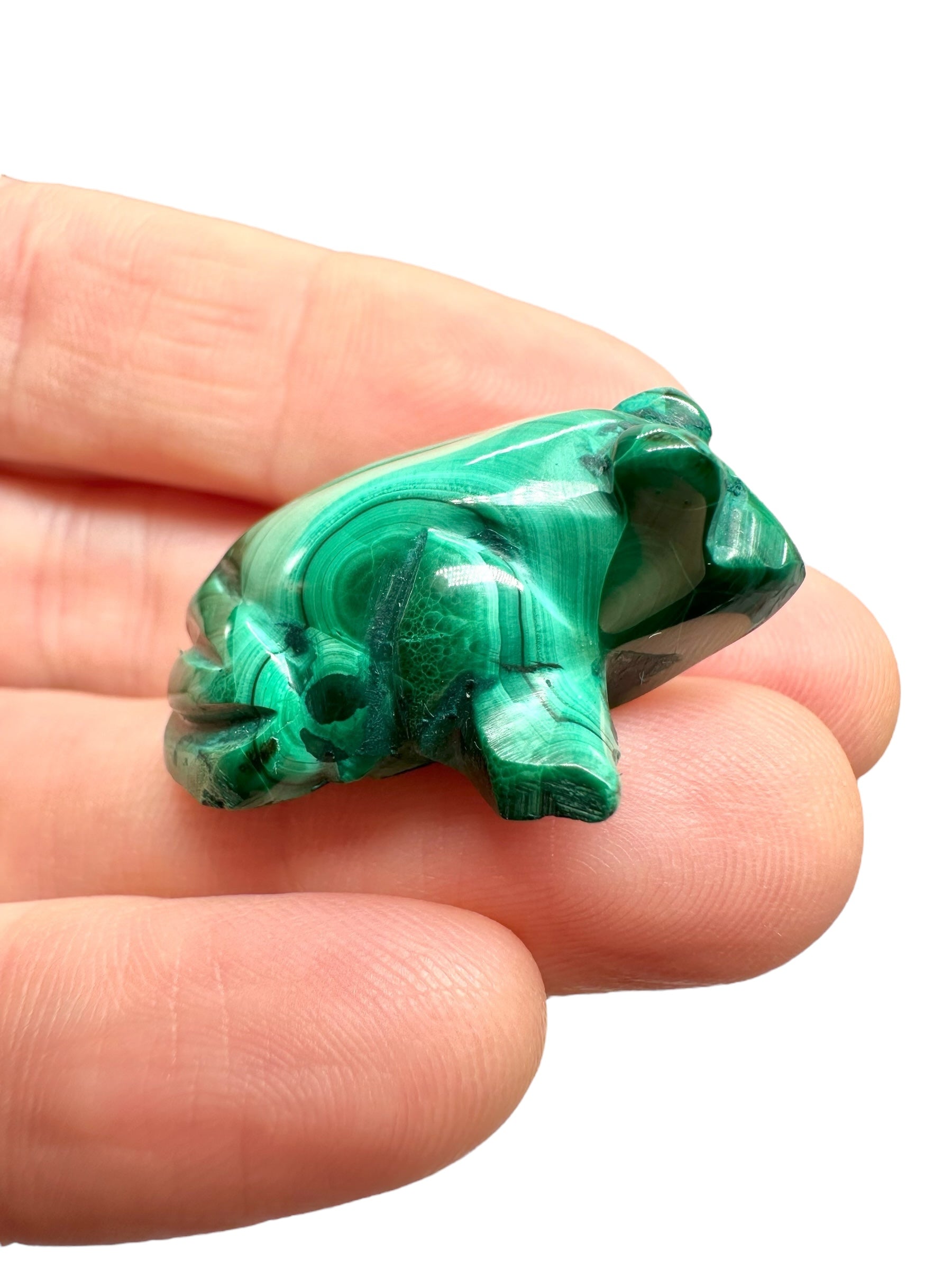 Malachite animal – Frog - MZ041