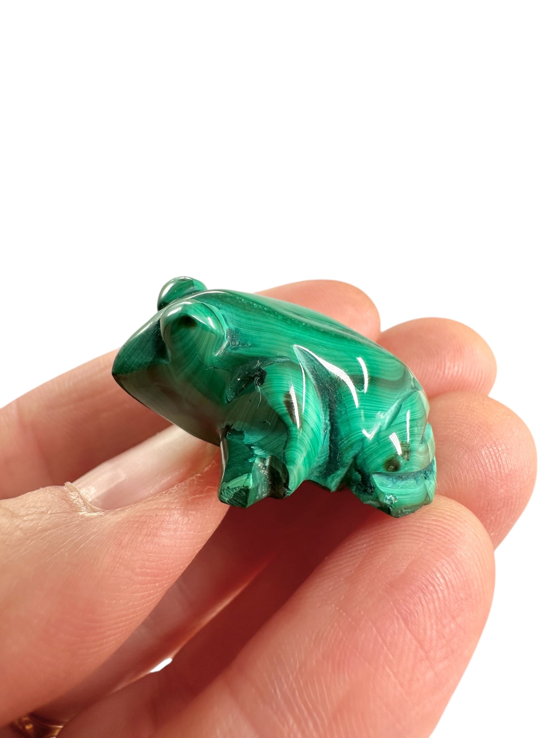 Malachite animal – Frog - MZ041