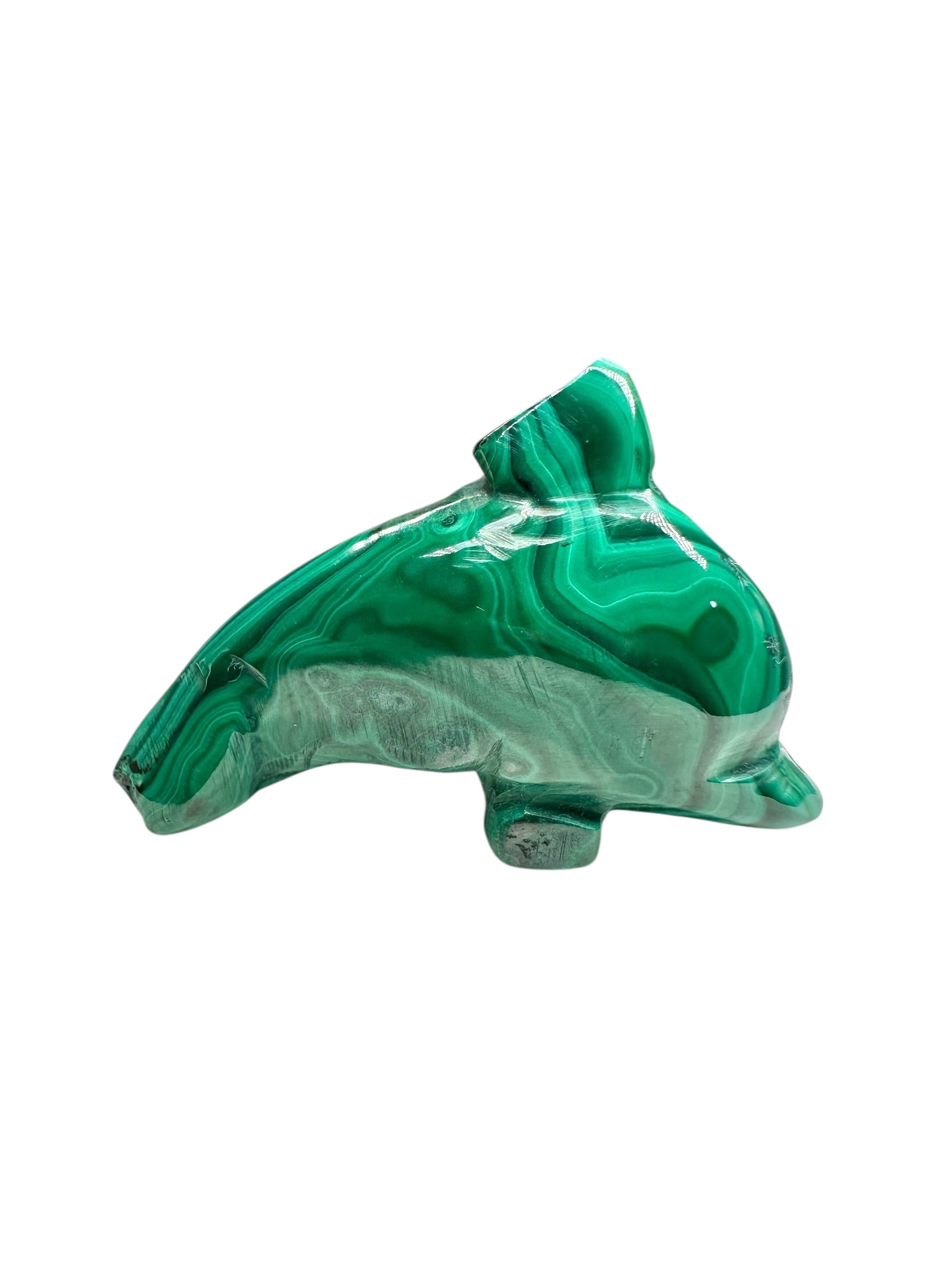 Malachite animal – Dolphin - MZ042