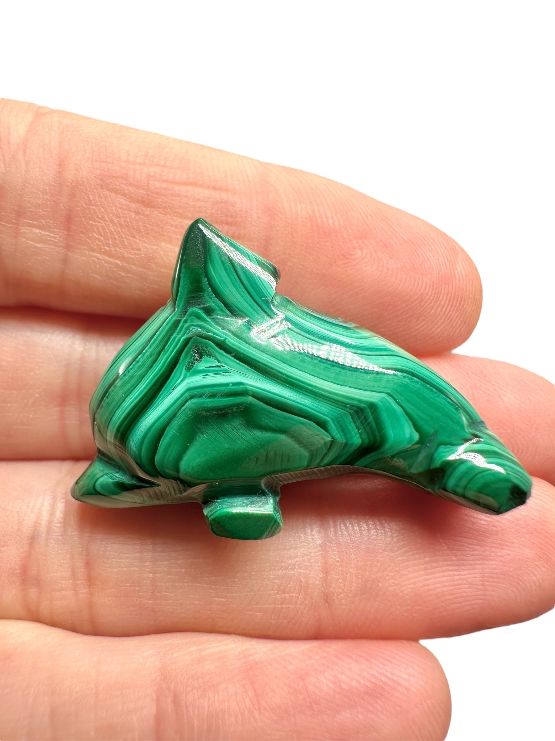 Malachite animal – Dolphin - MZ042