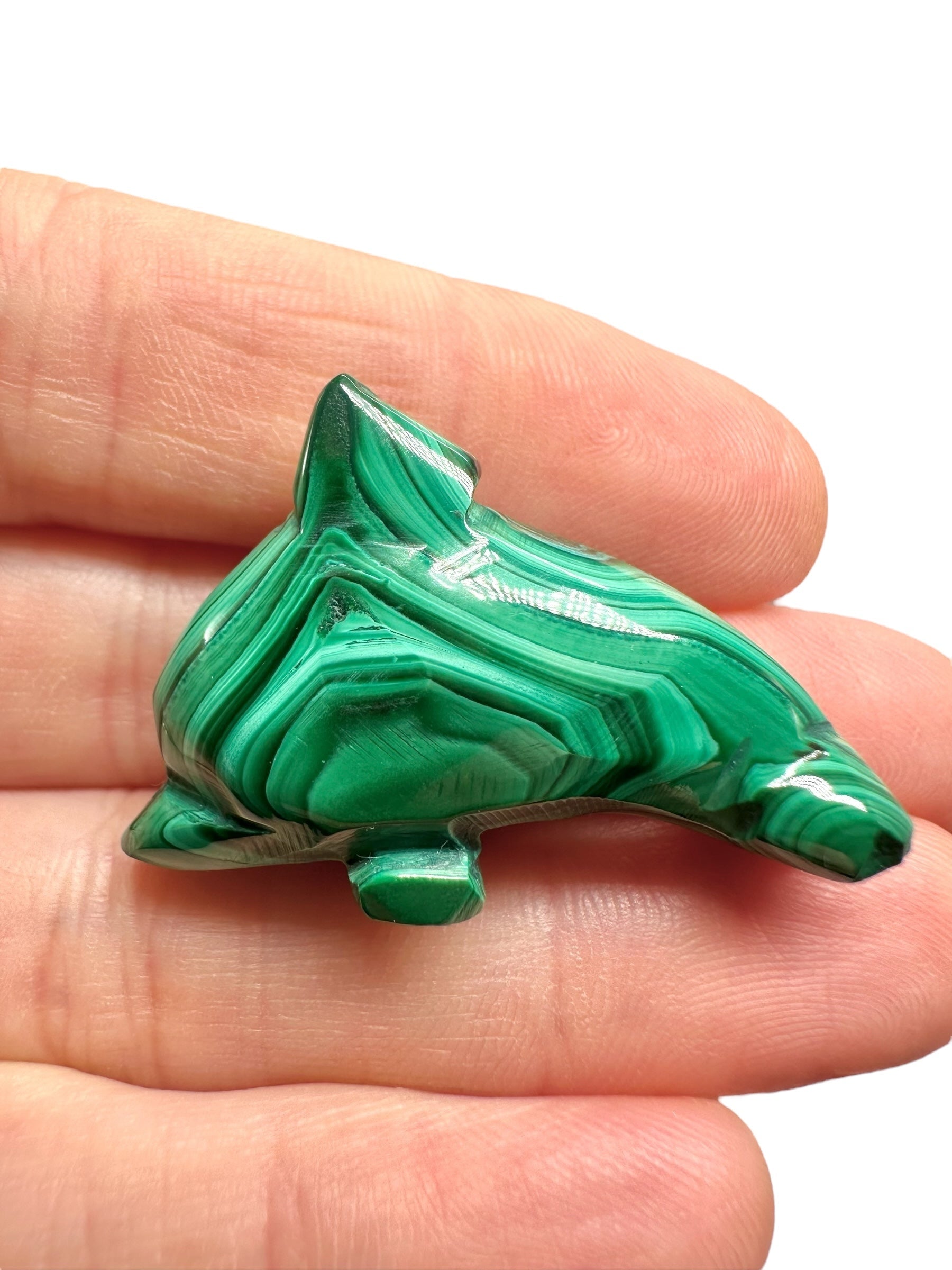 Malachite animal – Dolphin - MZ042